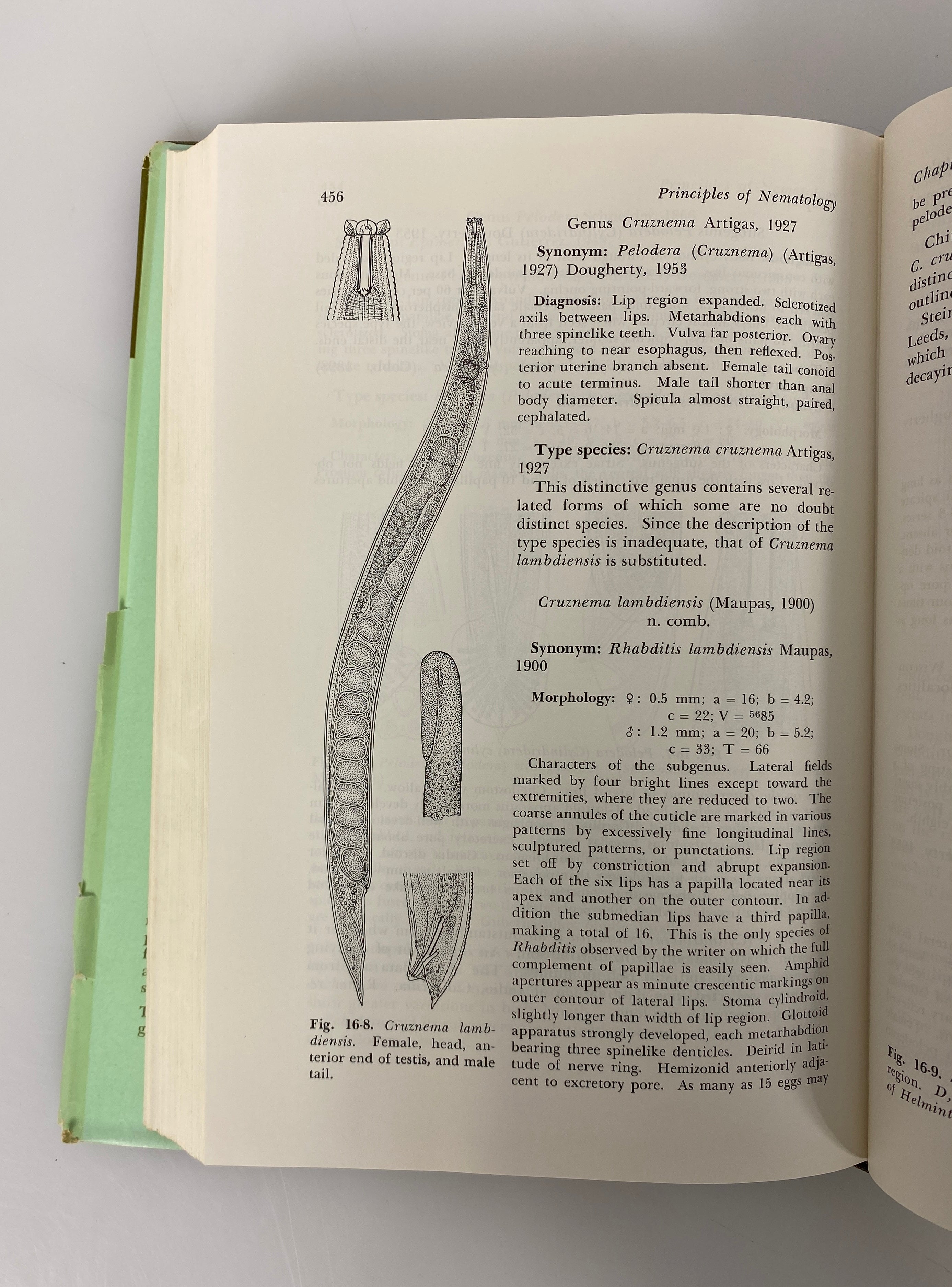 Lot of 3 Volumes: Nematodes/Nematology 1959-1961 Vintage HC