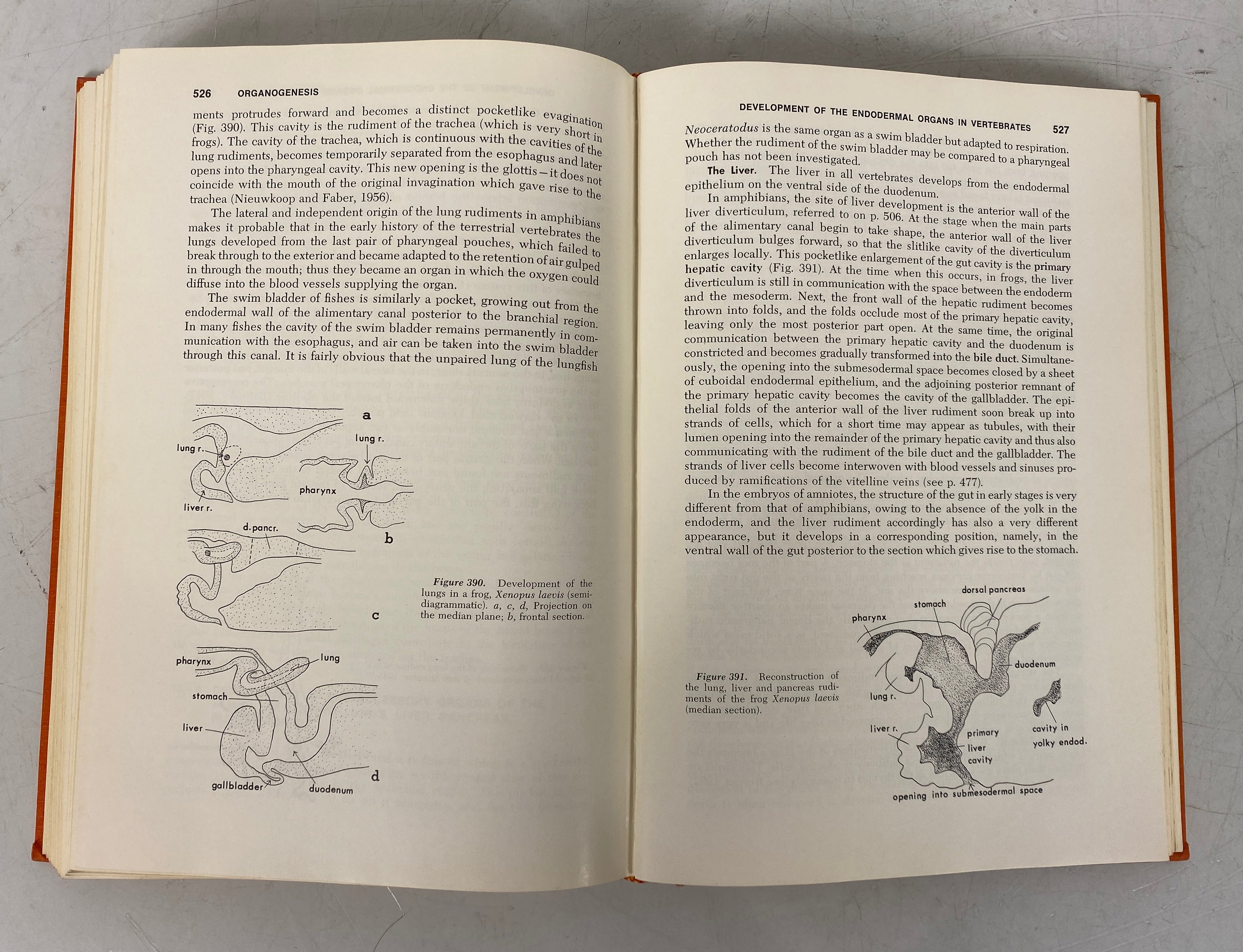 2 Vols: Principles of Embryology/An Introduction to Embryology 1960-70 HC