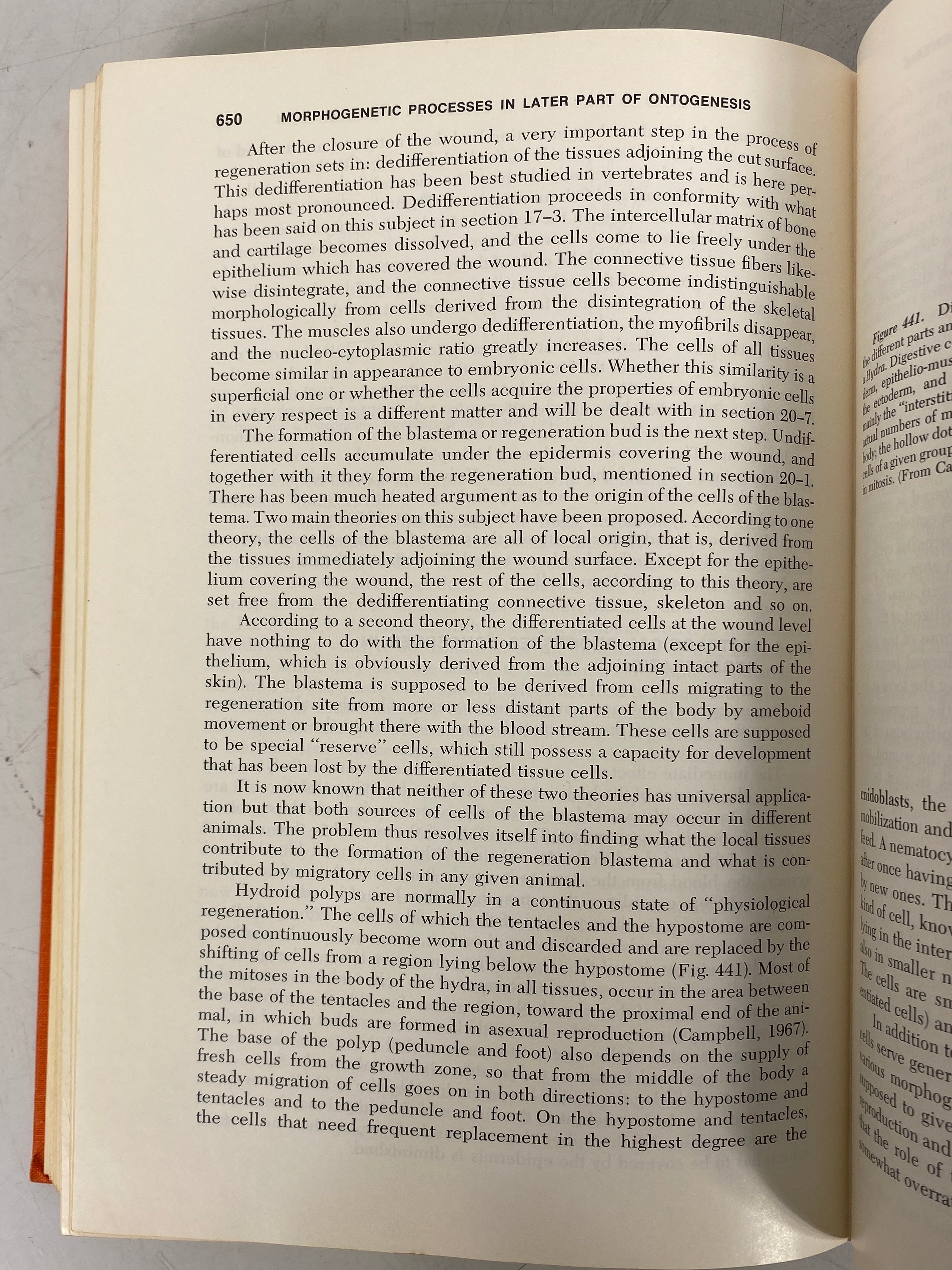 2 Vols: Principles of Embryology/An Introduction to Embryology 1960-70 HC