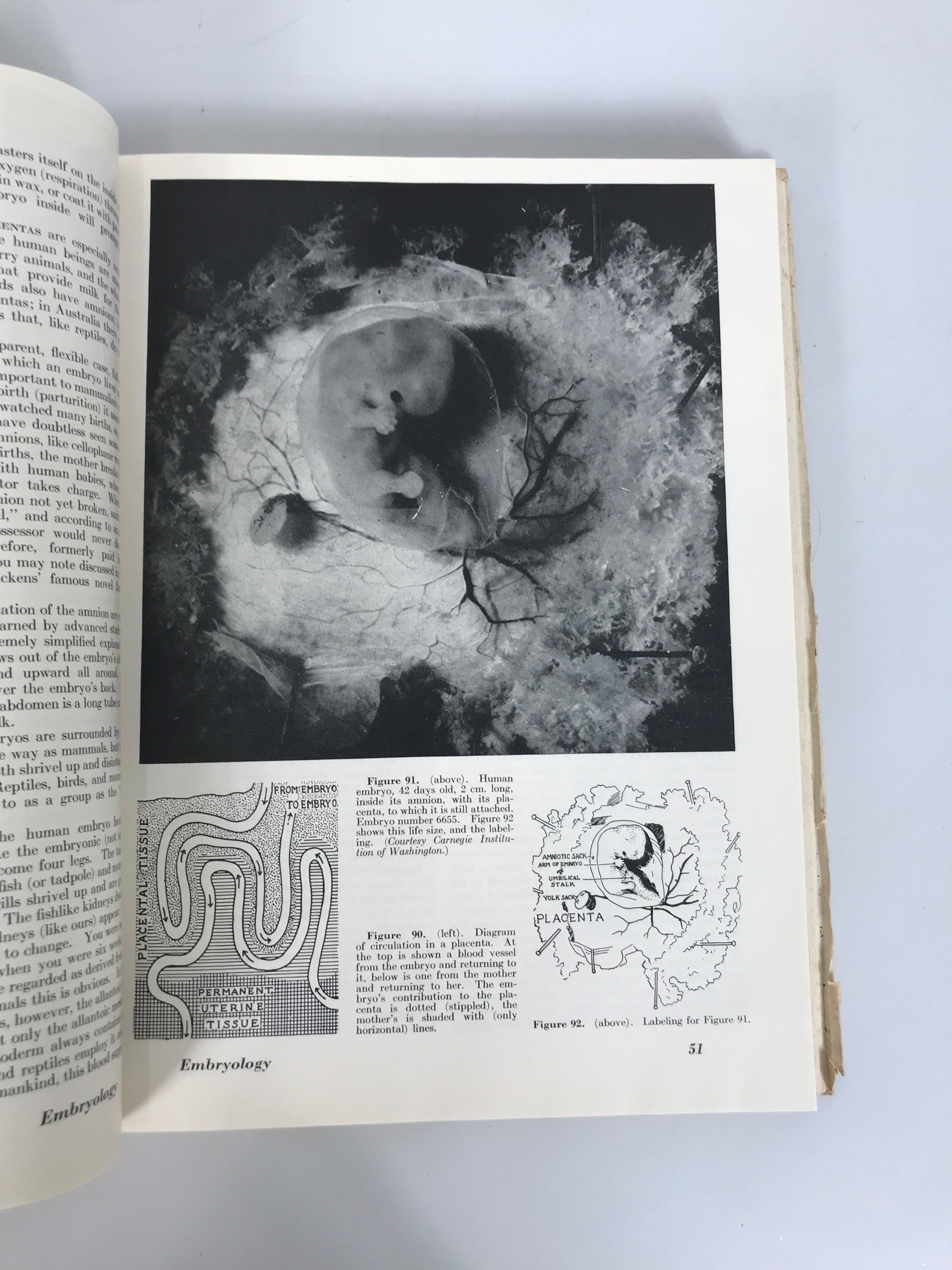 2 Vintage Texts: Pageant of Life Science/Modern Biology 1950-51 HC