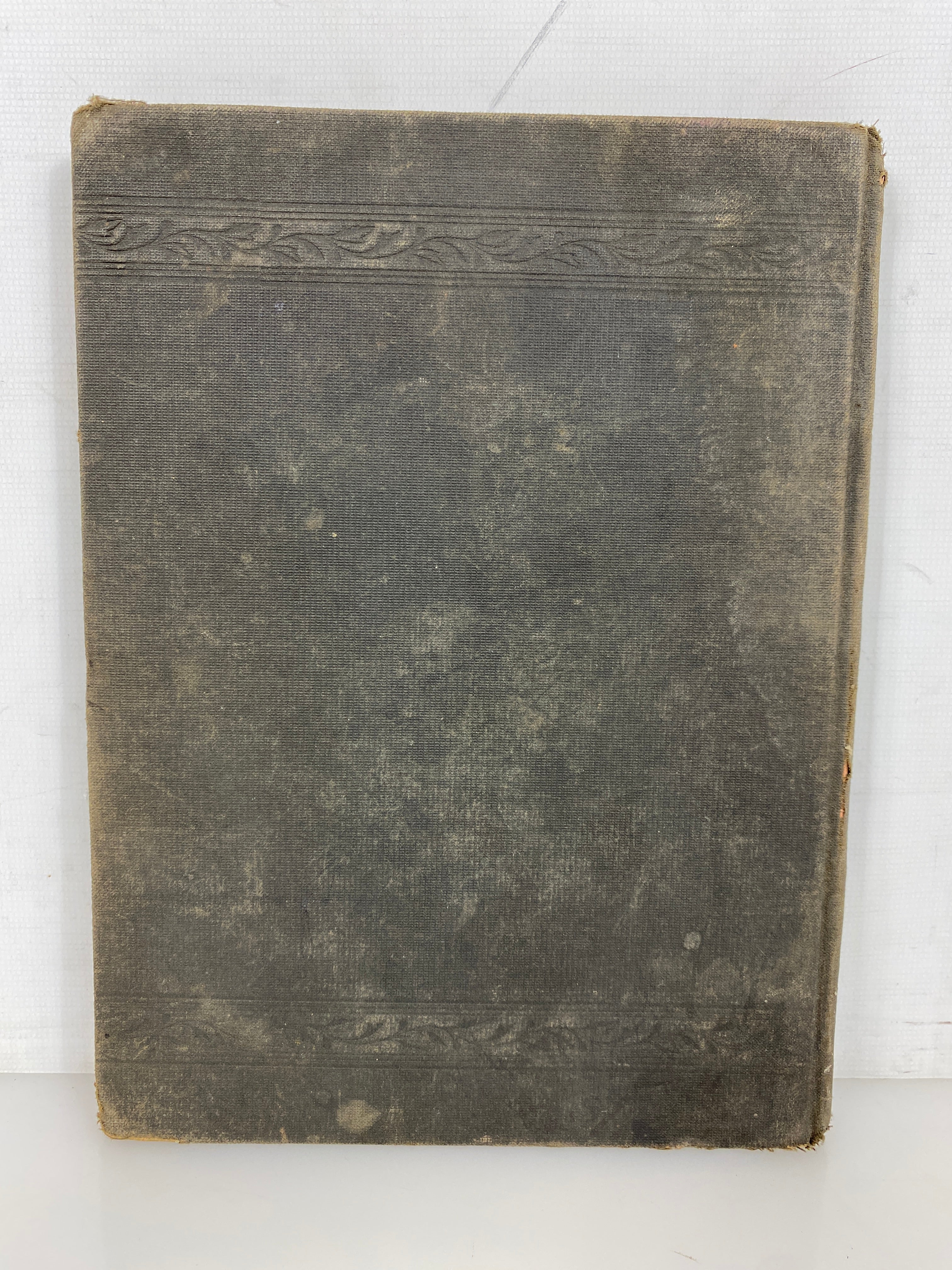 Plant Analysis by Groff Plant Descriptions & Analyses 1880 Antique HC