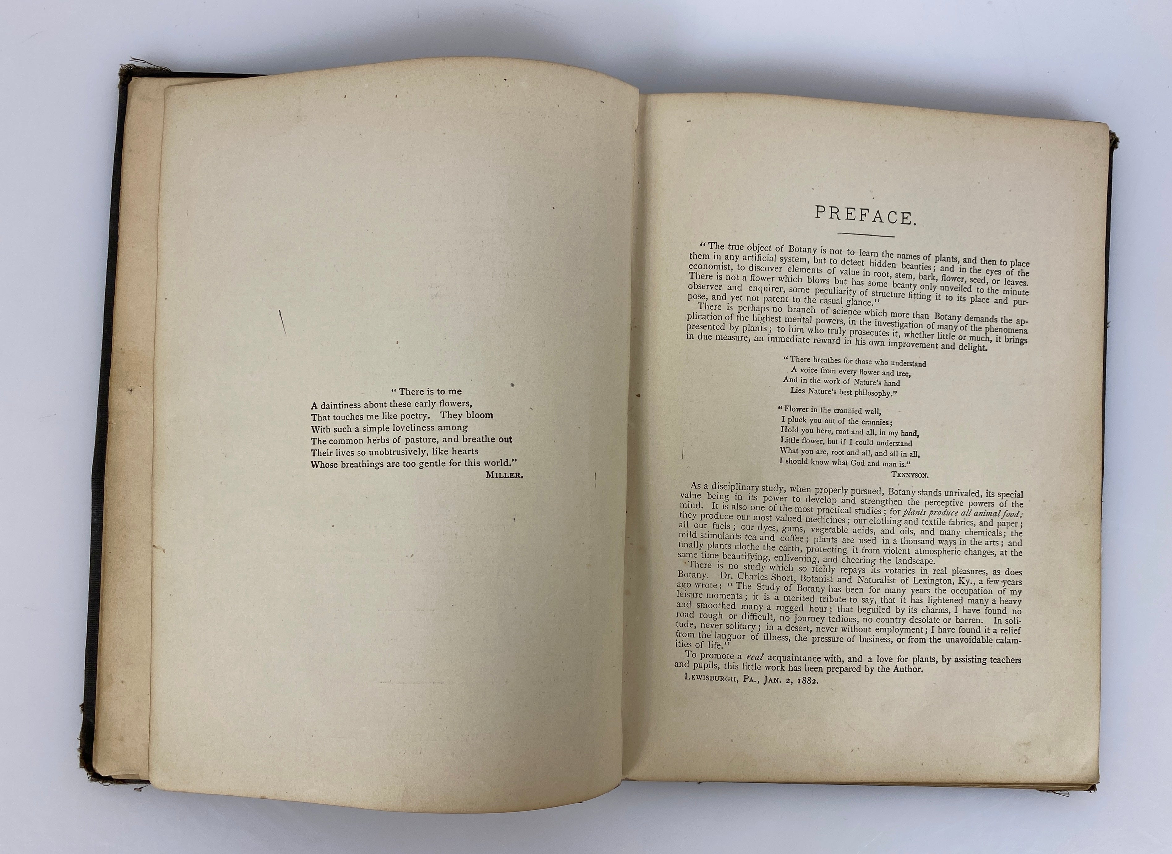 Plant Analysis by Groff Plant Descriptions & Analyses 1880 Antique HC