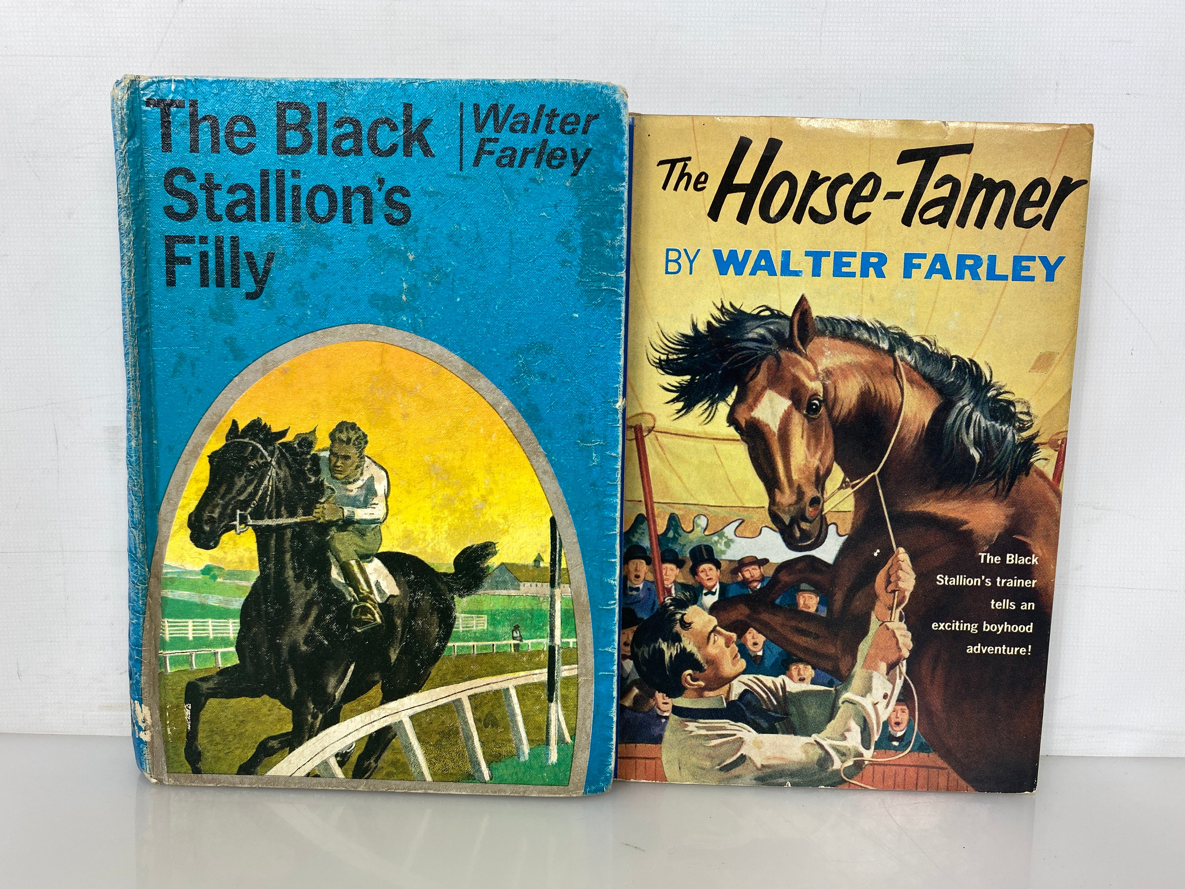Lot of 2  Walter Farley The Horse-Tamer/The Black Stallion's Filly 1952-58 HC