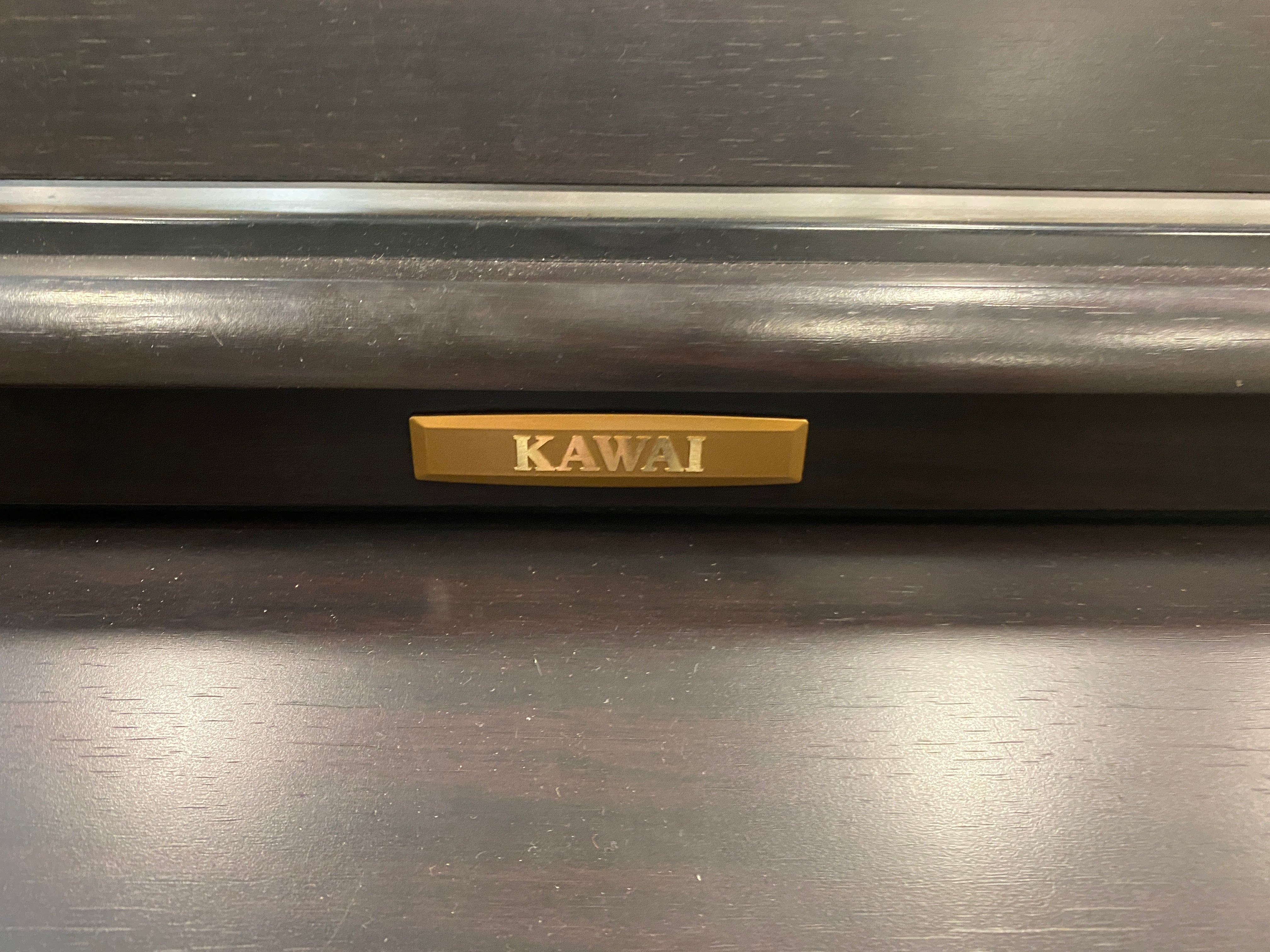 Kawai Dark Wood Digital Piano Variation #2