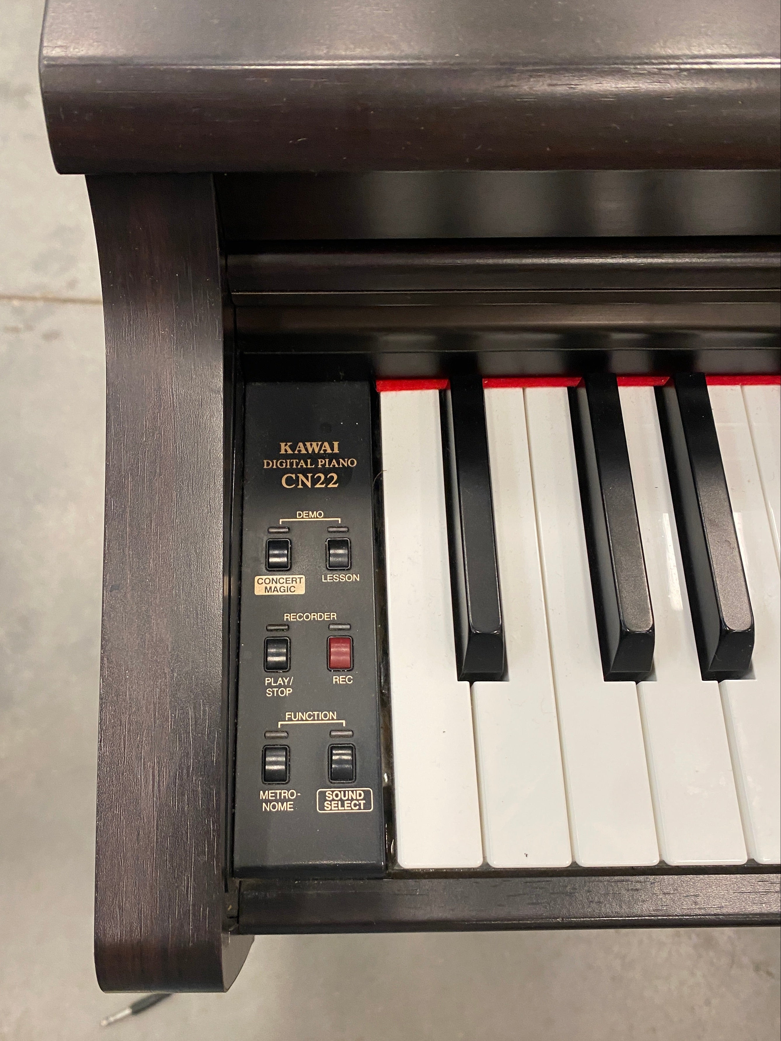 Kawai Dark Wood Digital Piano Variation #2