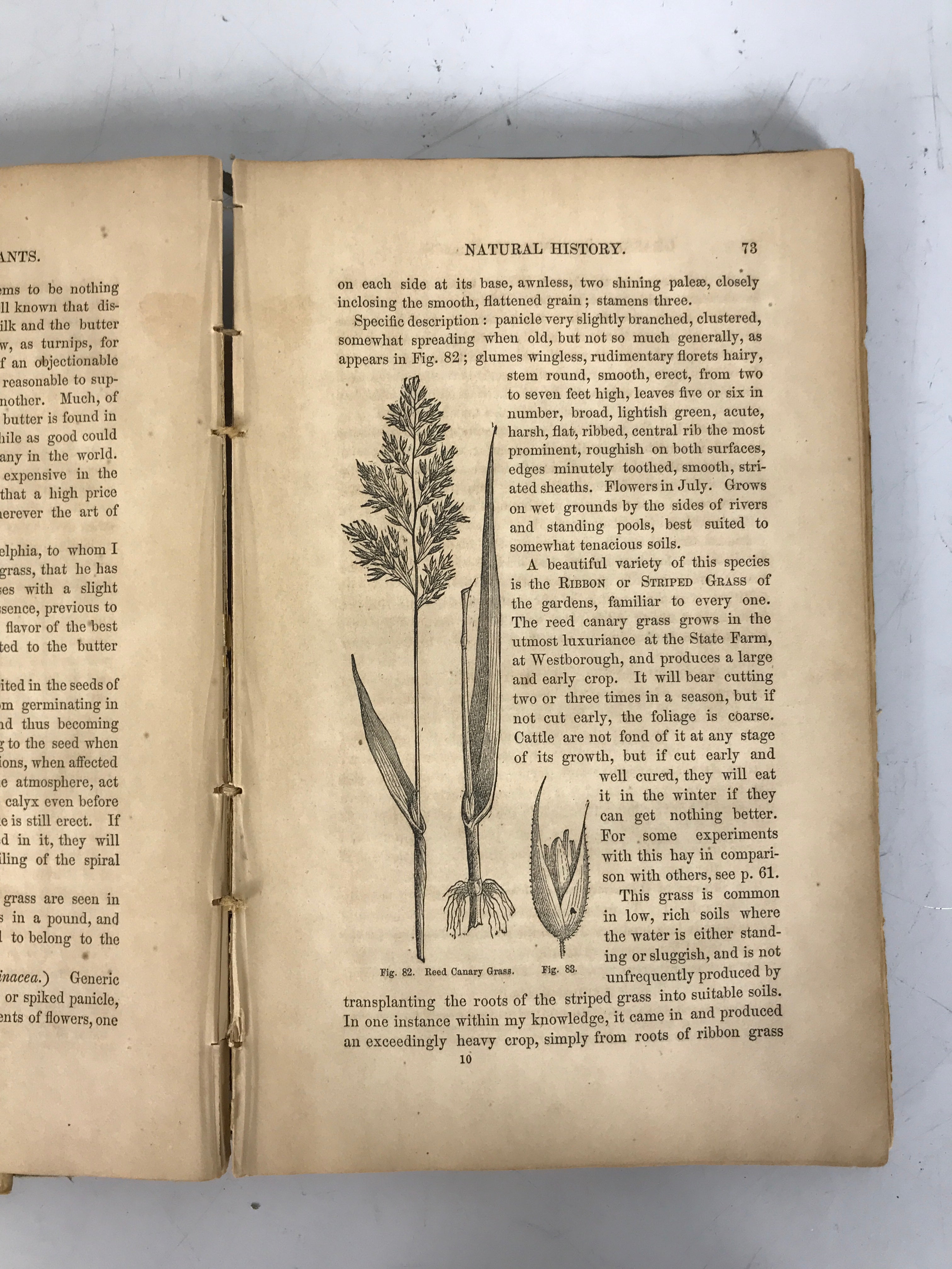 Practical Treatise on Grasses & Forage Plants Flint 1858 HC Ex-Library