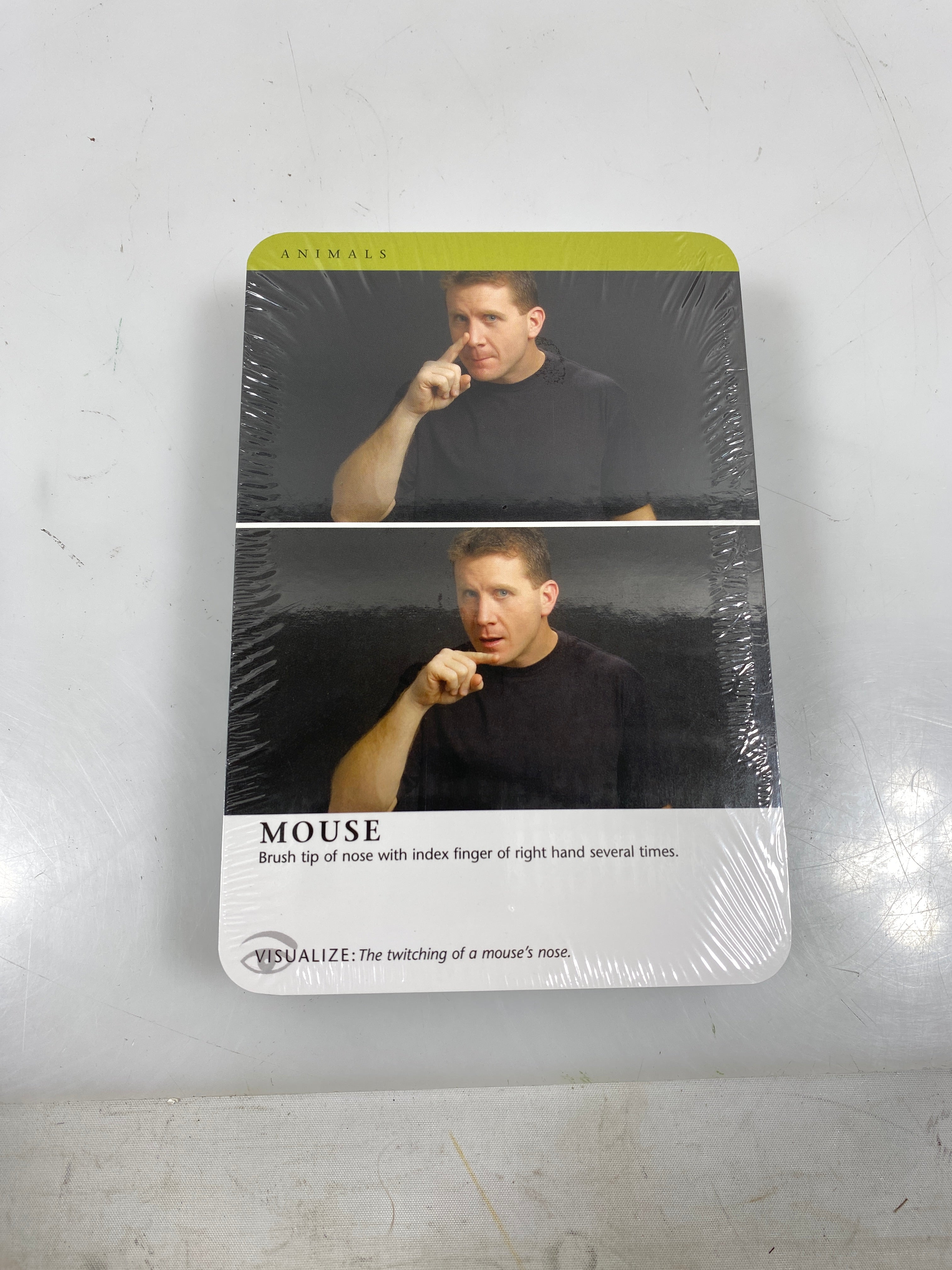 Barnes & Noble New York Learn American Sign Language Flashcards