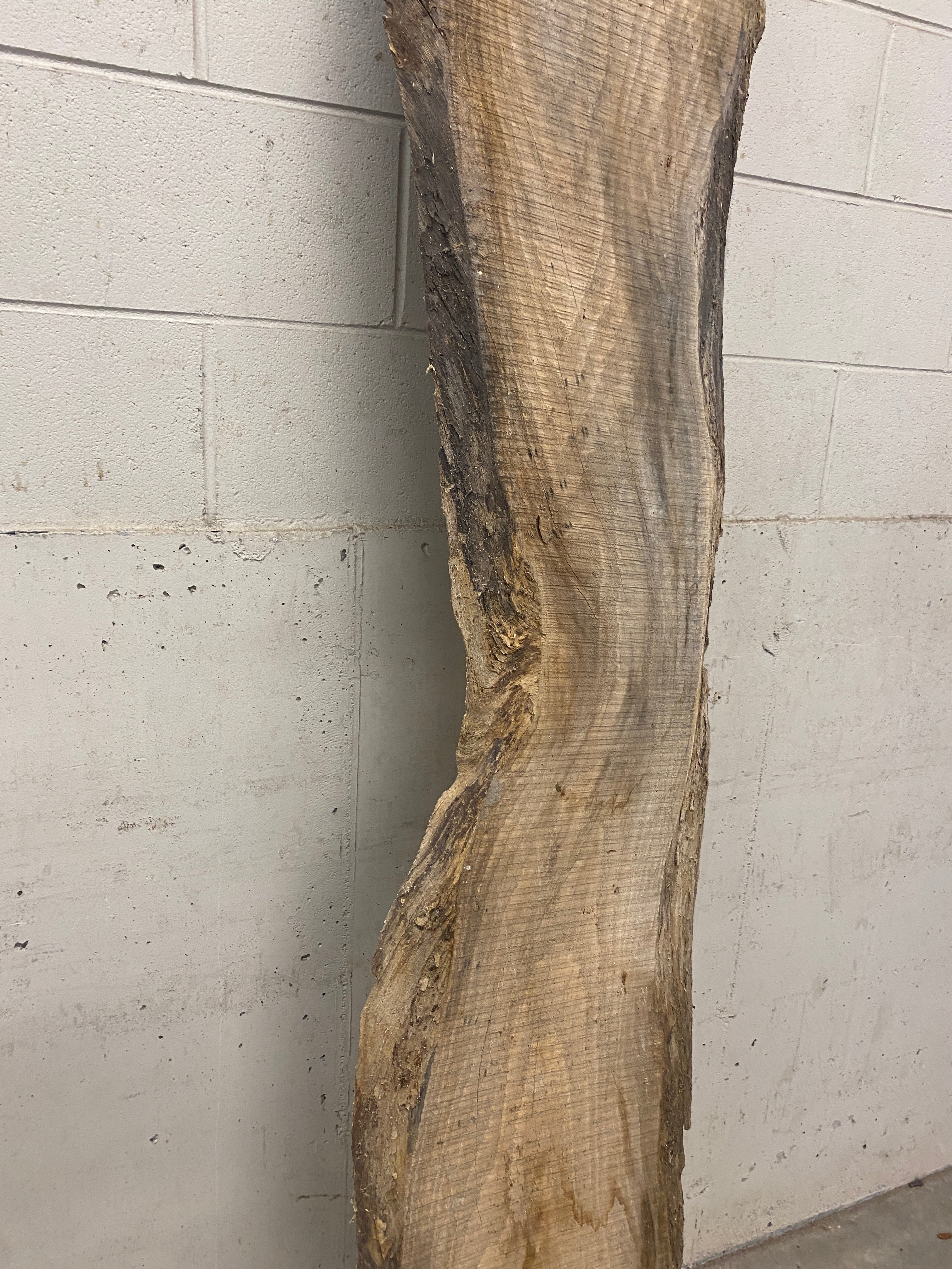 MSU Shadows Live Edge Unknown Species Slab Wood #9