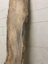 MSU Shadows Live Edge Unknown Species Slab Wood #9