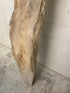 MSU Shadows Live Edge Unknown Species Slab Wood #9