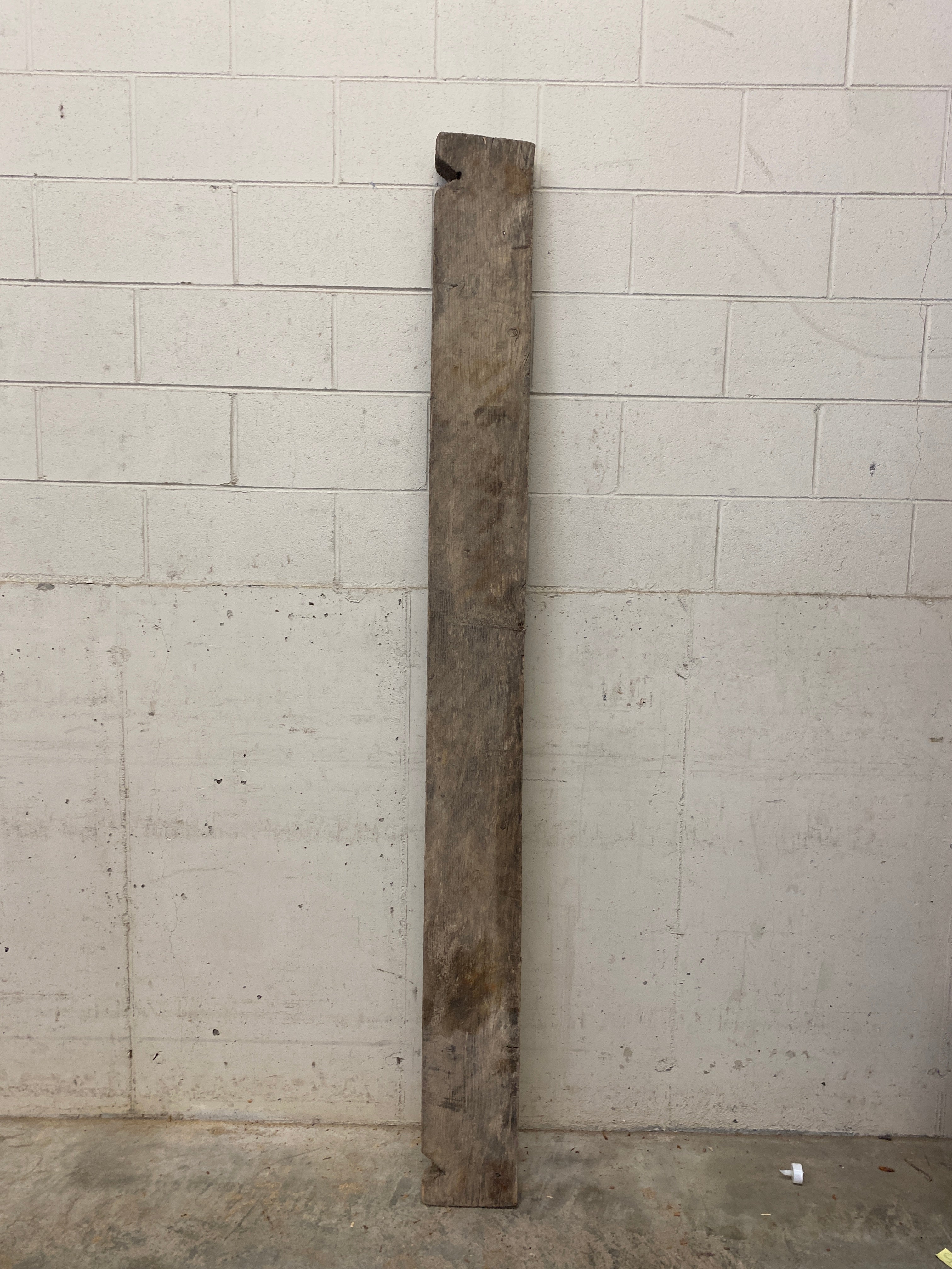 MSU Shadows Unknown Species Slab Wood #20