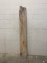 MSU Shadows Unknown Species Slab Wood #21