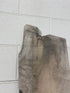 MSU Shadows Unknown Species Slab Wood #21