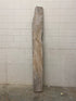 MSU Shadows Unknown Species Slab Wood #21