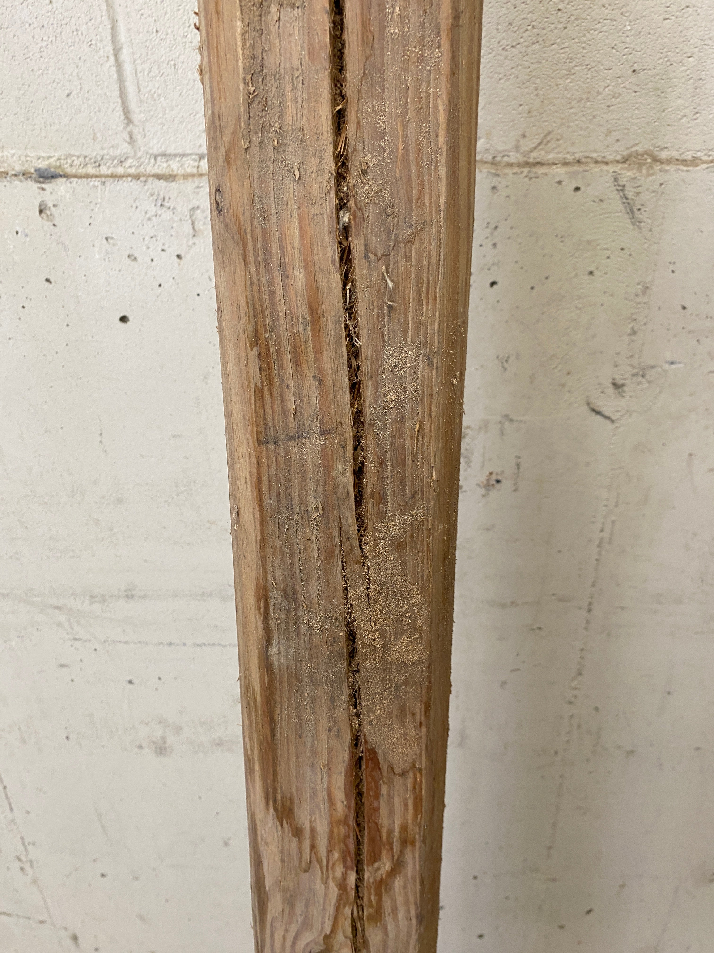 MSU Shadows Live Edge Unknown Species Slab Wood #29
