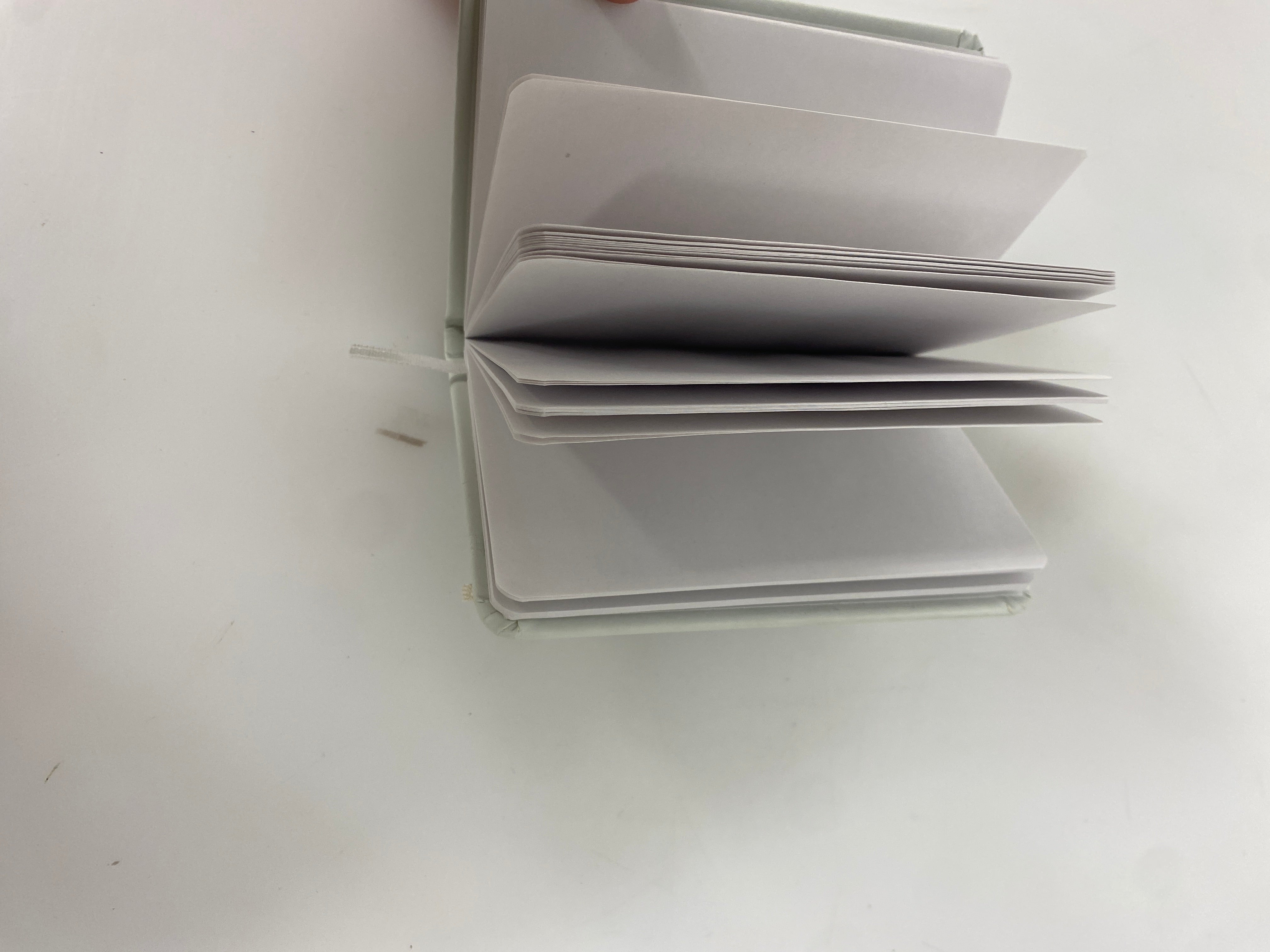 MSU White Logo Journal Notebook