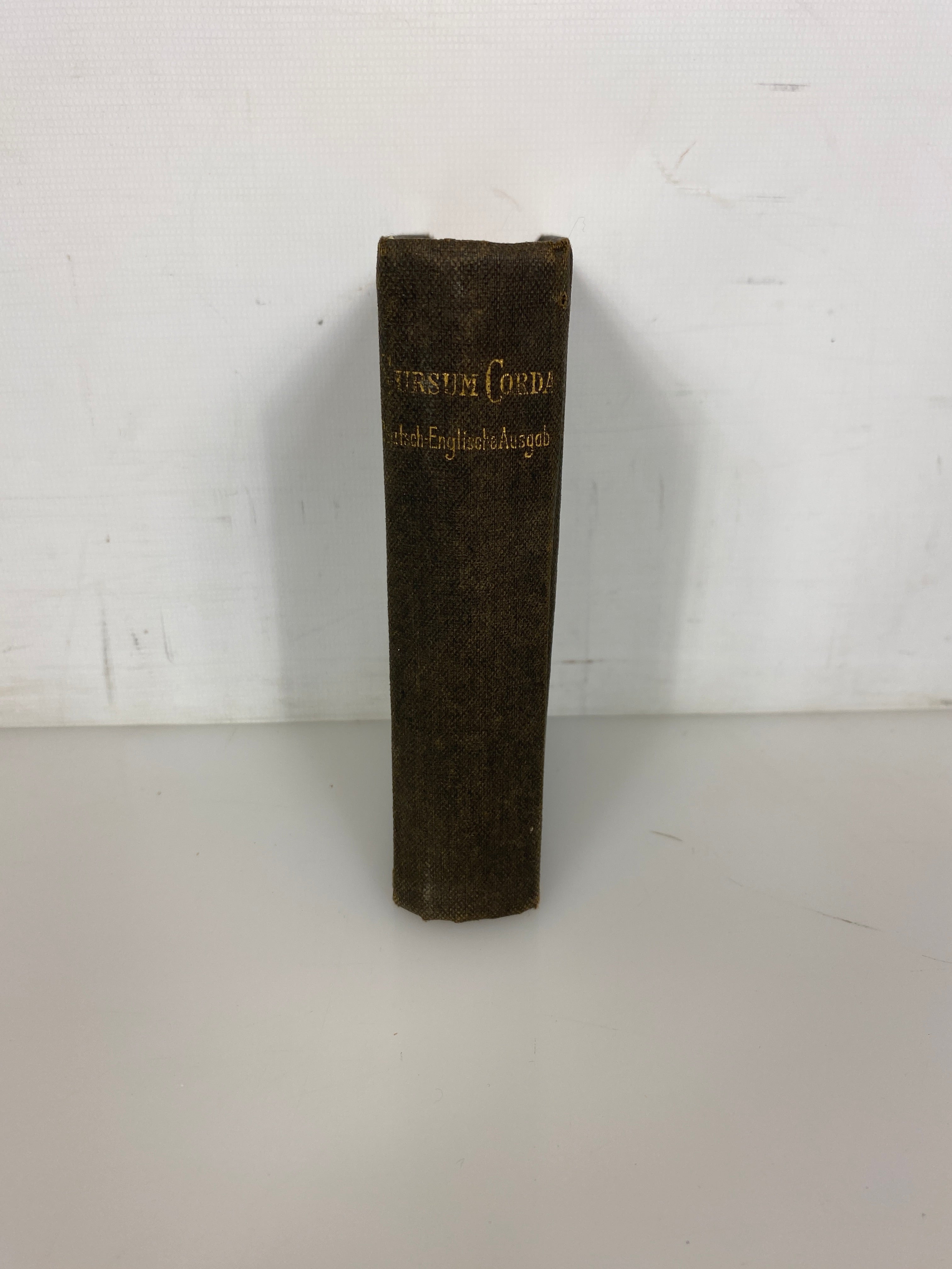 Antique Sursum Corda Hymns & Prayers in English and German 1888 Benziger HC