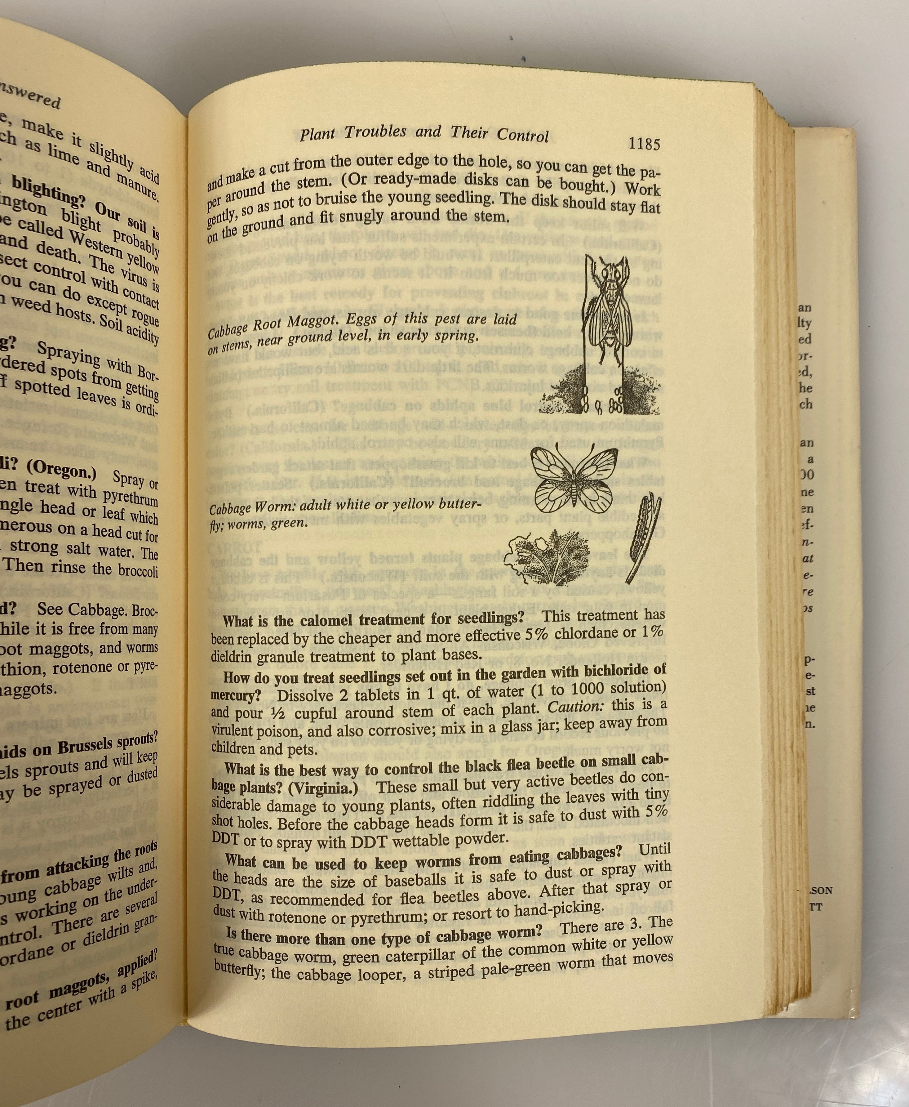 2 Vol Set: 10,000 Garden Questions Answered (1&2) F.F. Rockwell 1959 HCDJ BCE