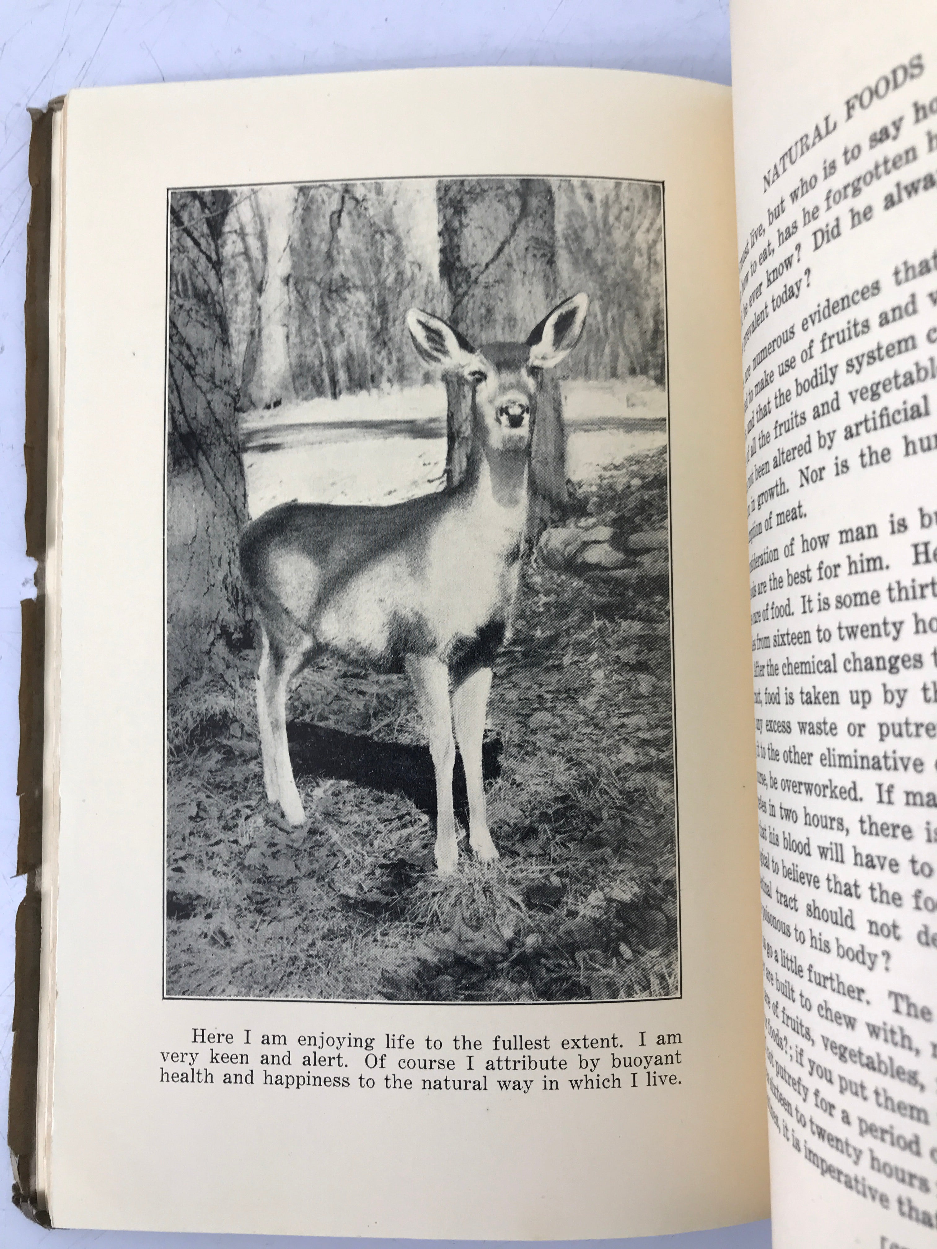 The Joy of Living and How to Attain It Bernard Jensen (1934) Original SC