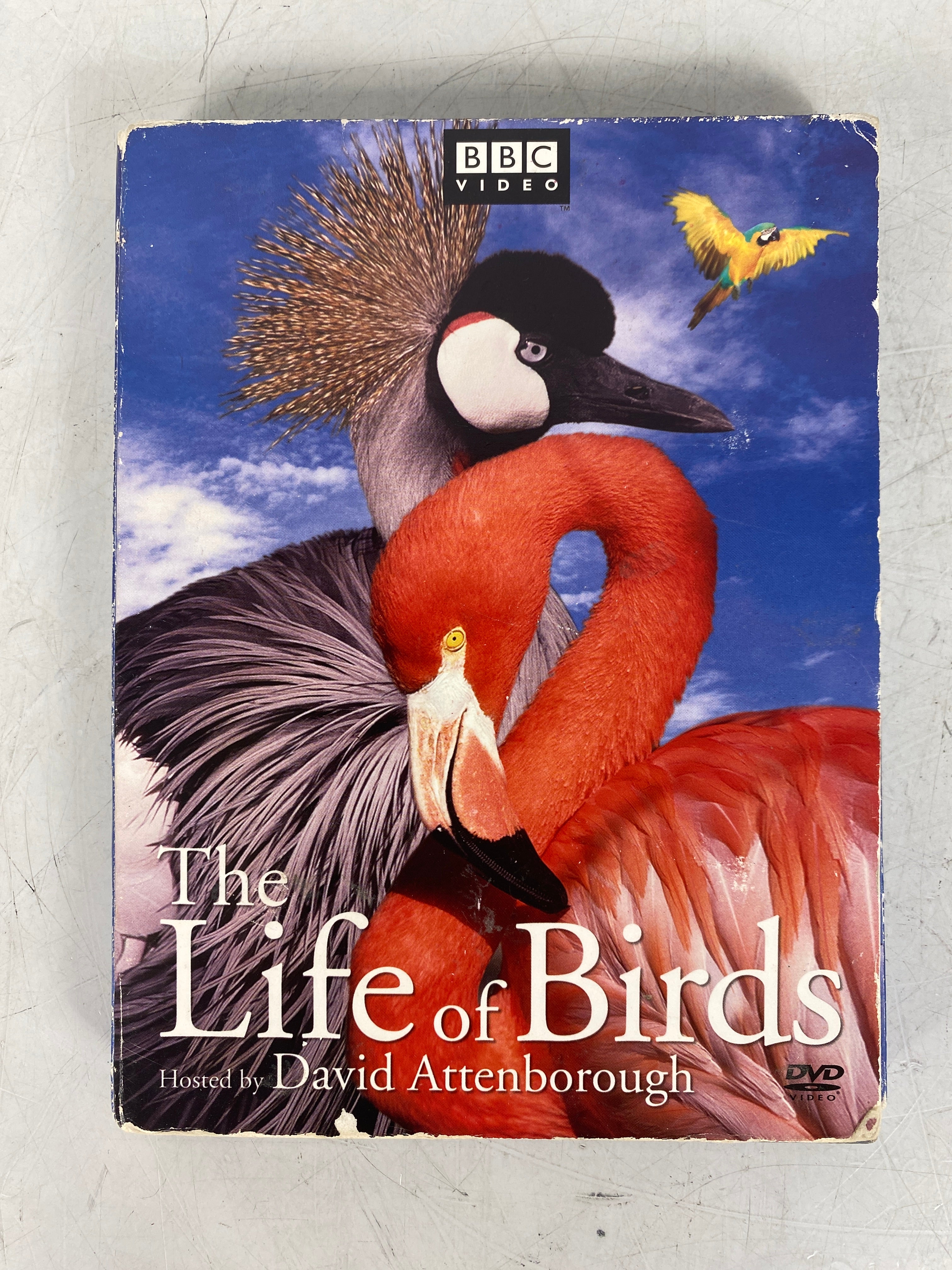 BBC Life of Birds DVD Set with David Attenborough 2002