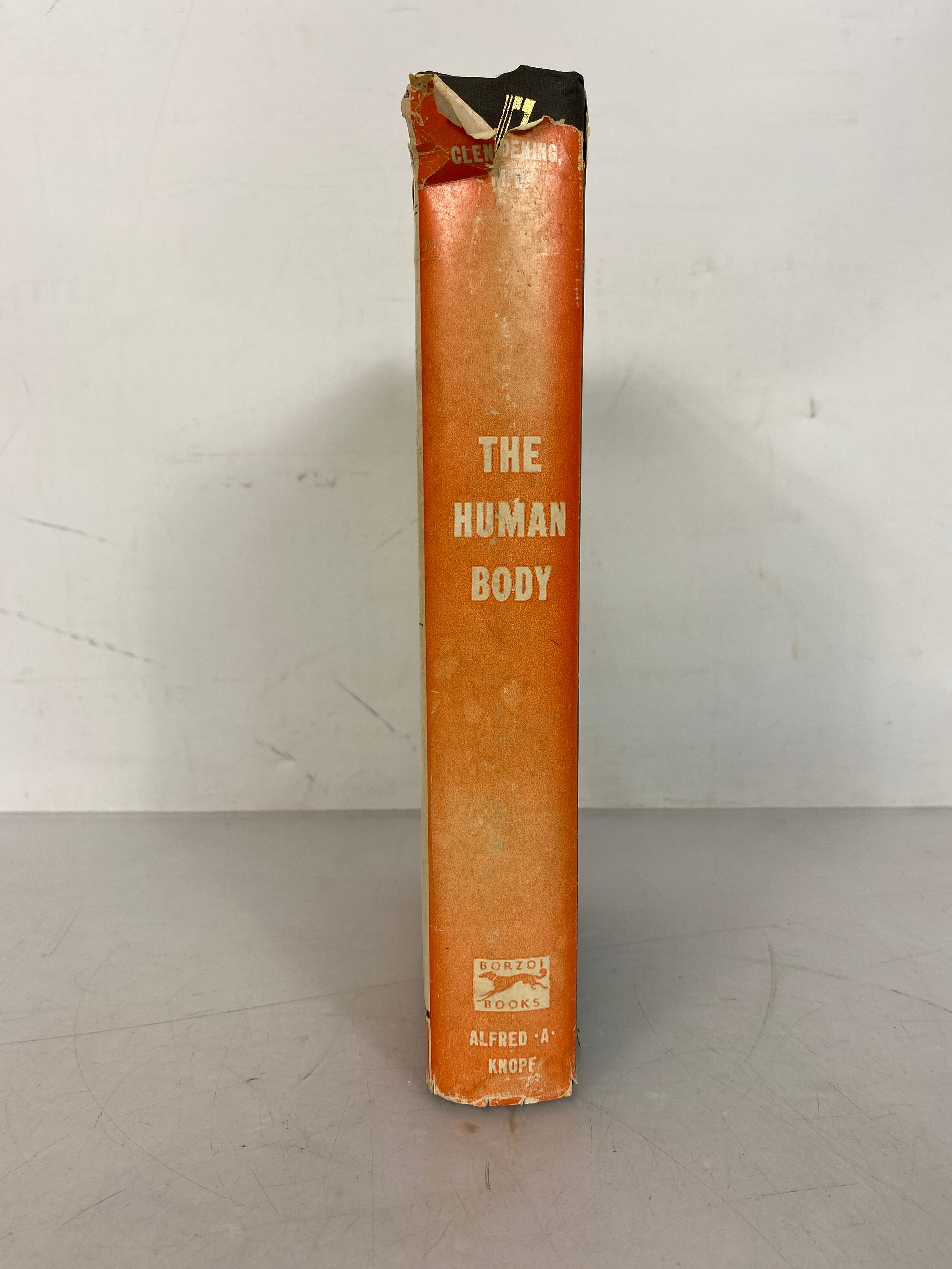 The Human Body by Logan Clendening Fourth Edition 1966 HC DJ