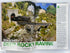 Lot of 12 Model Railroader Magazine (2012 Complete Year)
