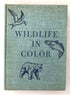 Wildlife in Color by Roger Tory Peterson 1951 HC DJ