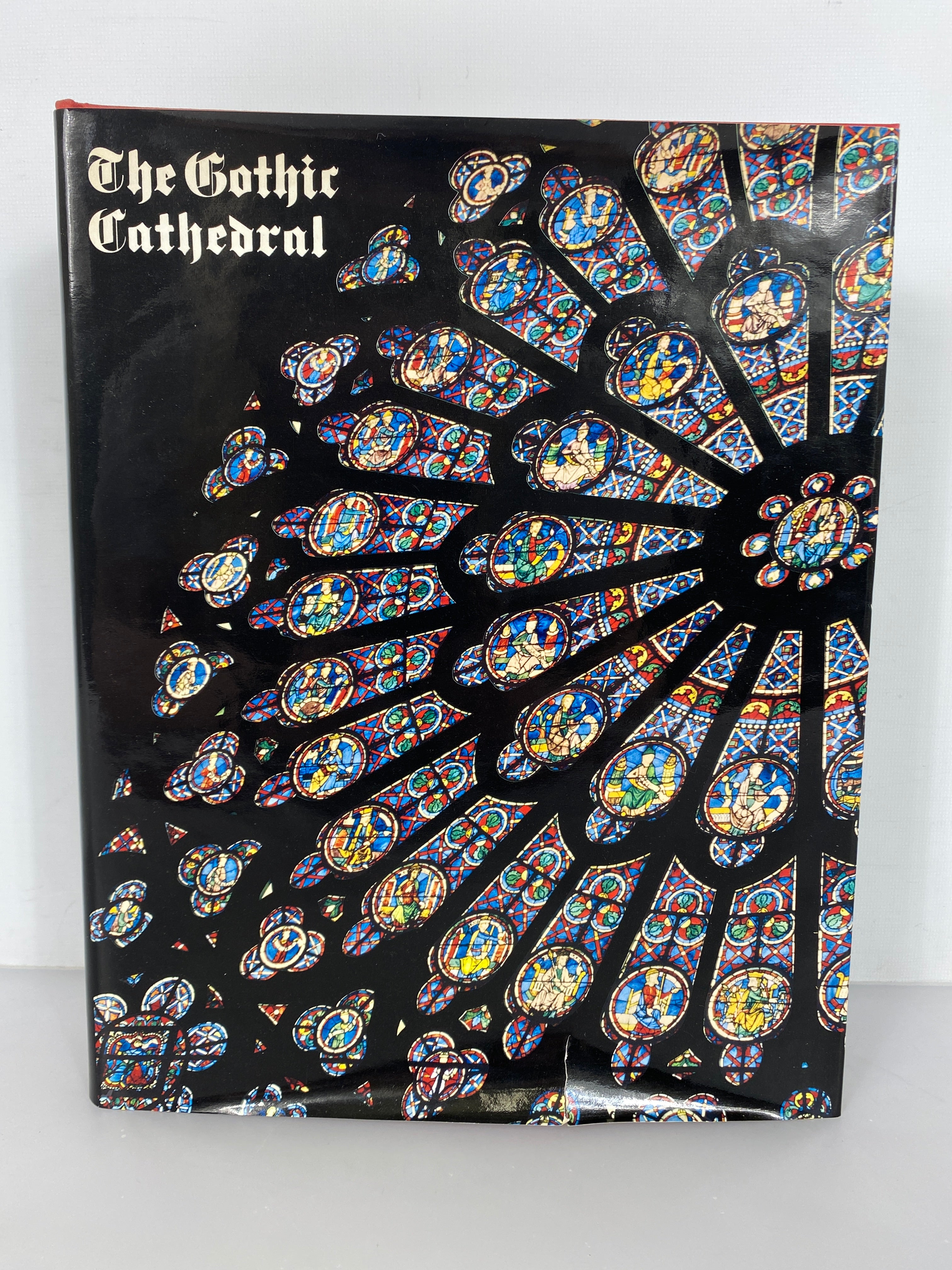 The Gothic Cathedral by Wim Swaan 1969 Vintage HC DJ
