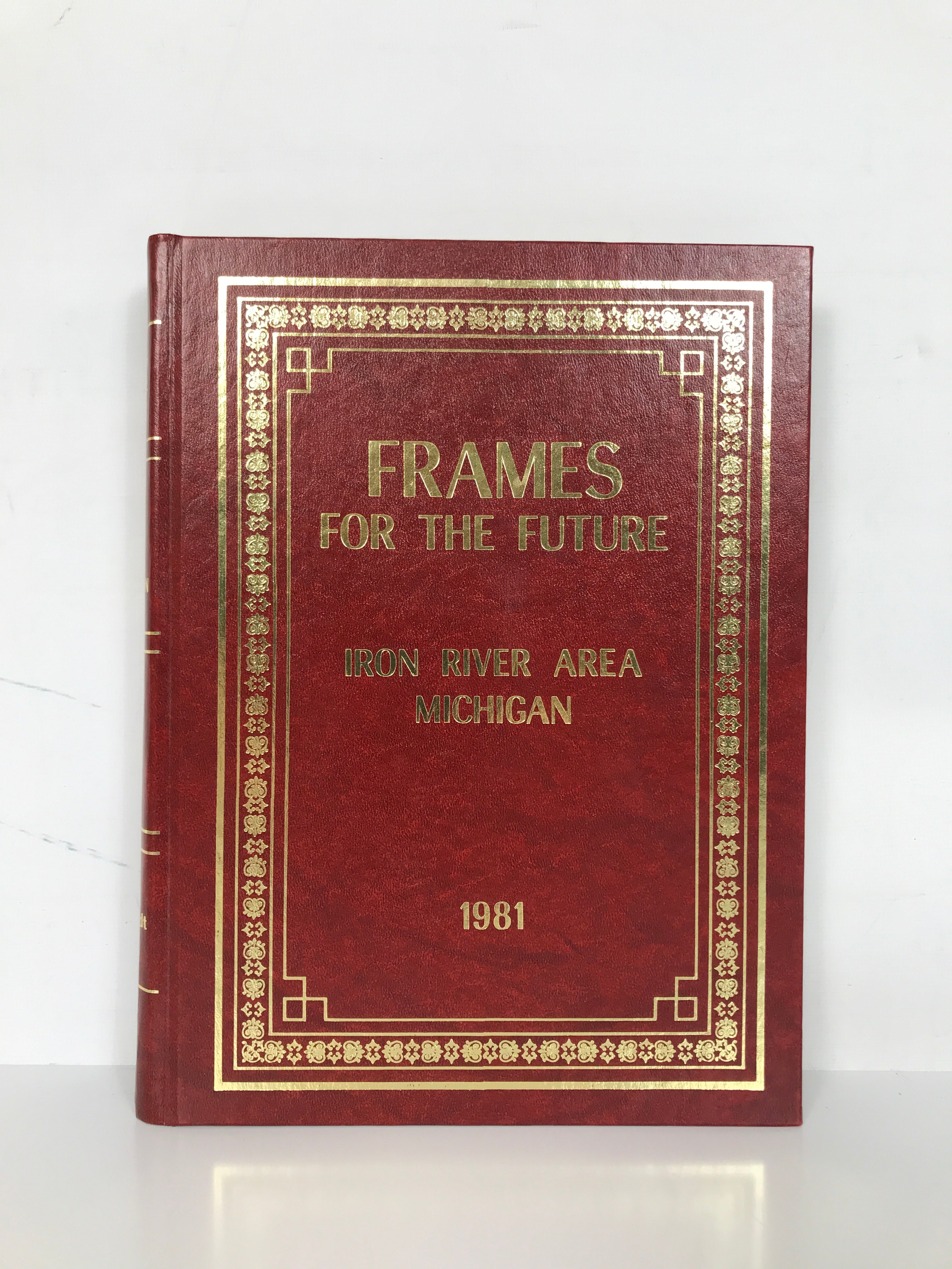 Frames for the Future Iron River Area Michigan 1981 HC Centennial 1881-1981