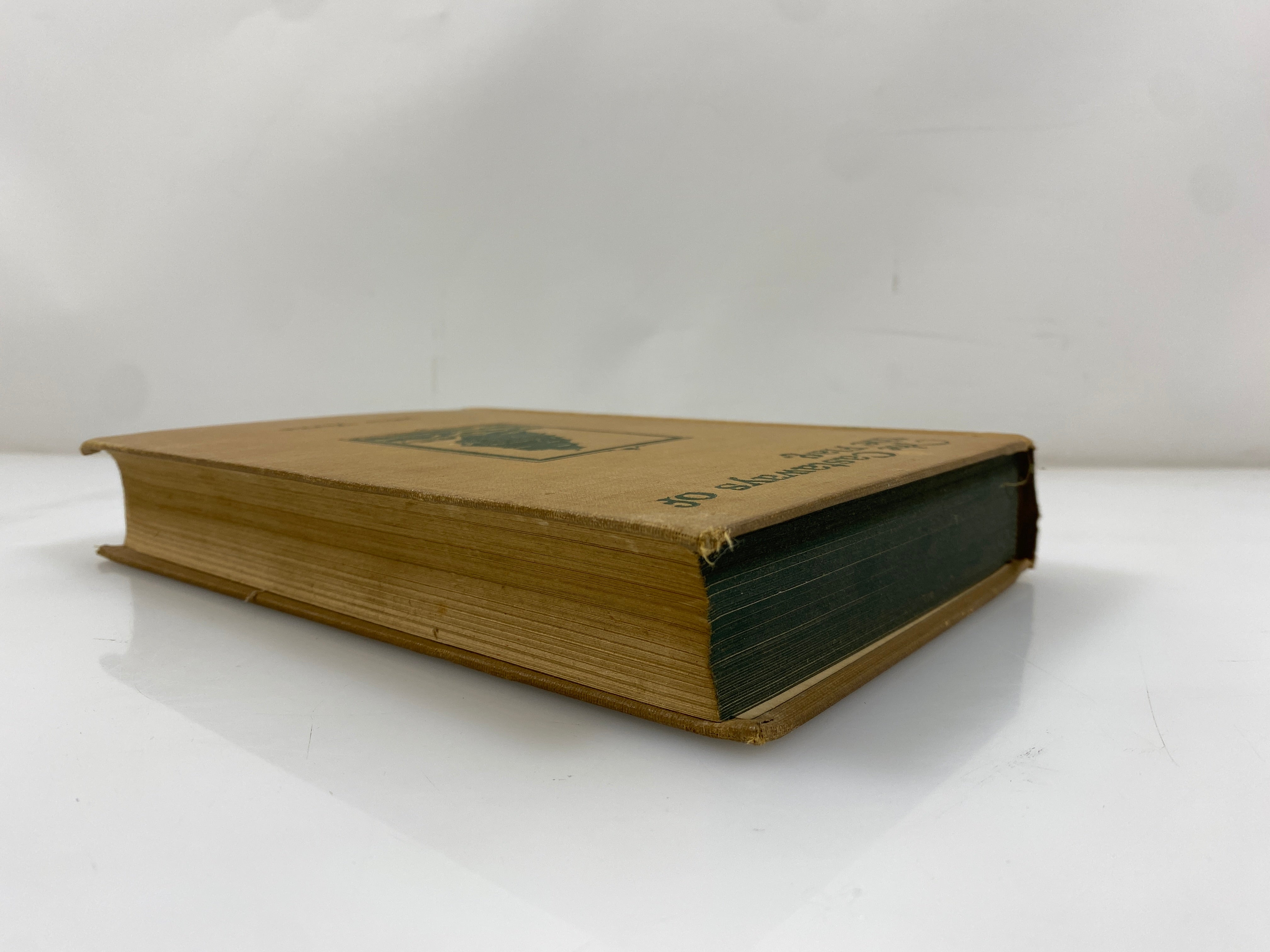 The Castaways of the Flag Jules Verne Grosset & Dunlap 1924 HC