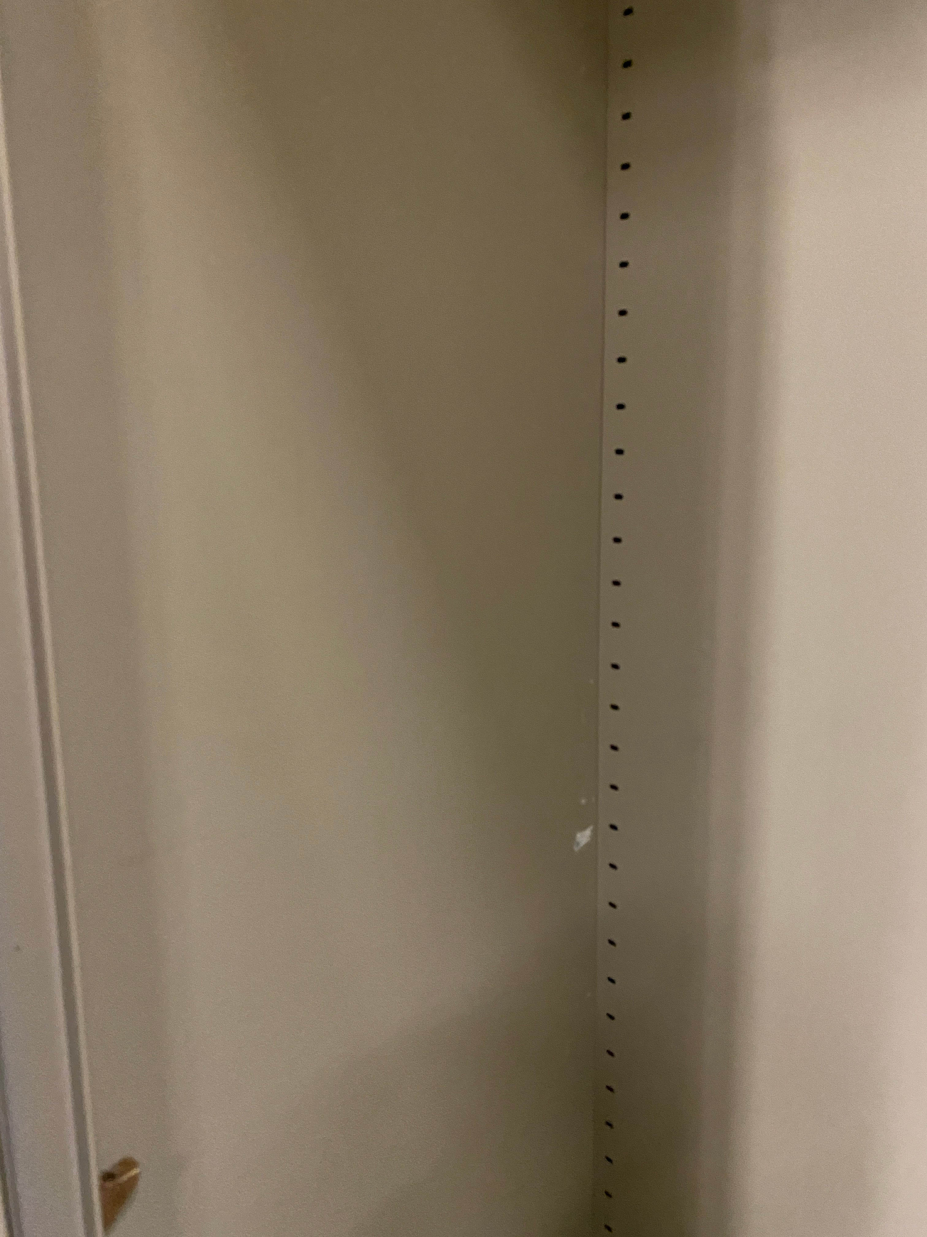 Grey 2 Door Cabinet w/ Adjustable Shelves