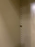 Tan 2 Door Cabinet w/ Adjustable Shelves