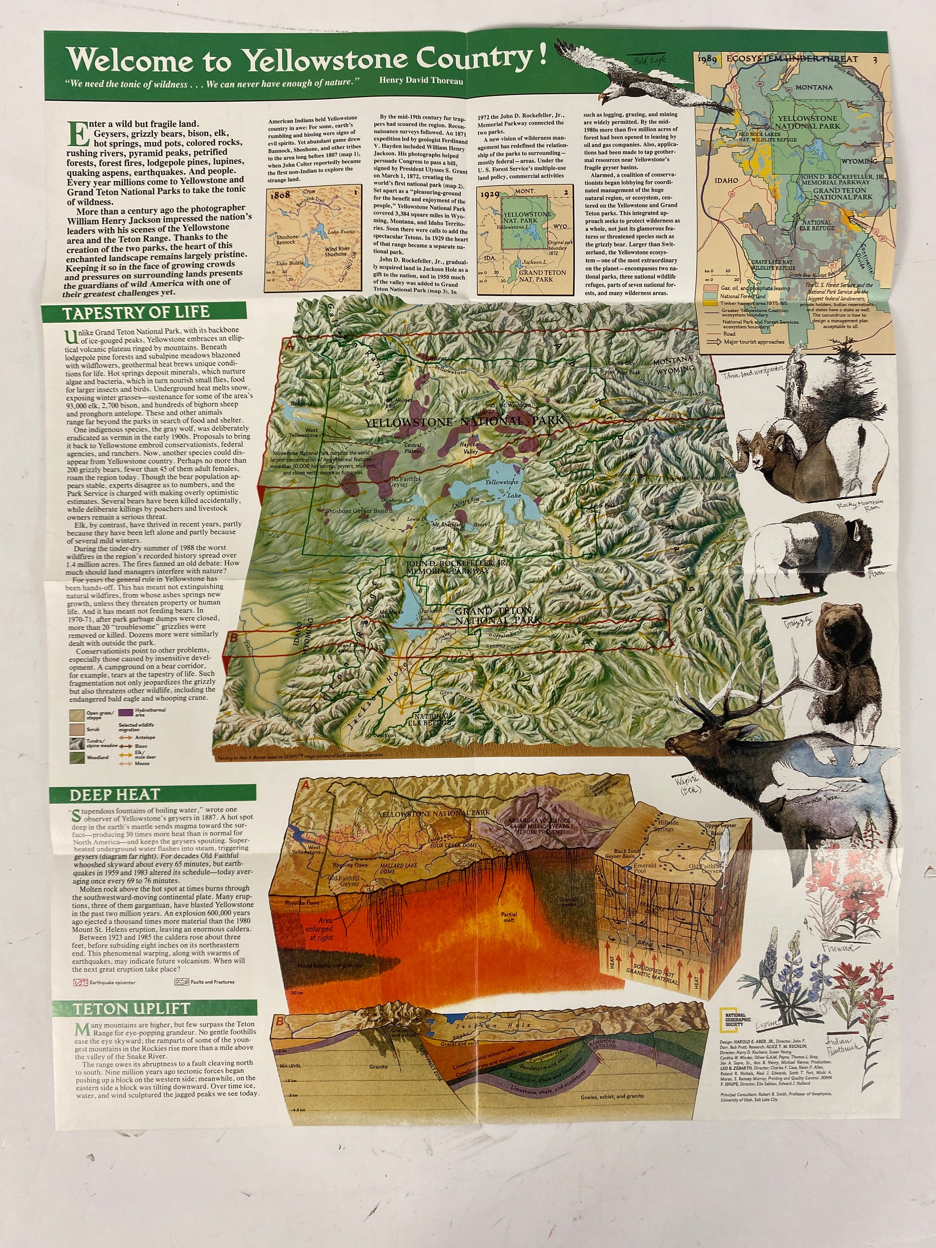 5 Nat Geo Maps: America's Federal Lands/Nat'l Parks & Monuments/Grand Canyon