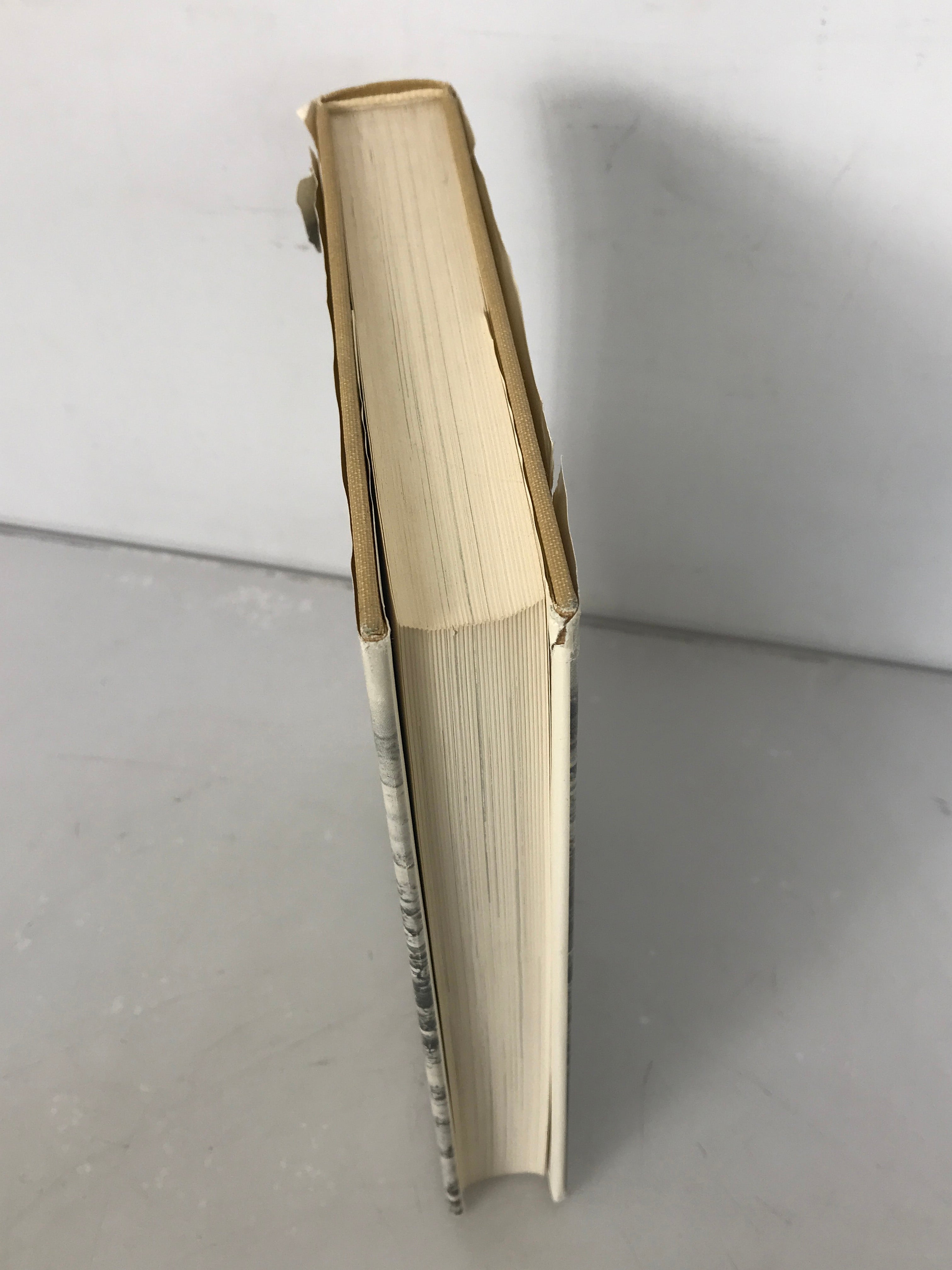Red Wing, Minnesota Saga of a River Town by Madeline Angell 1978 Second Edition HC DJ