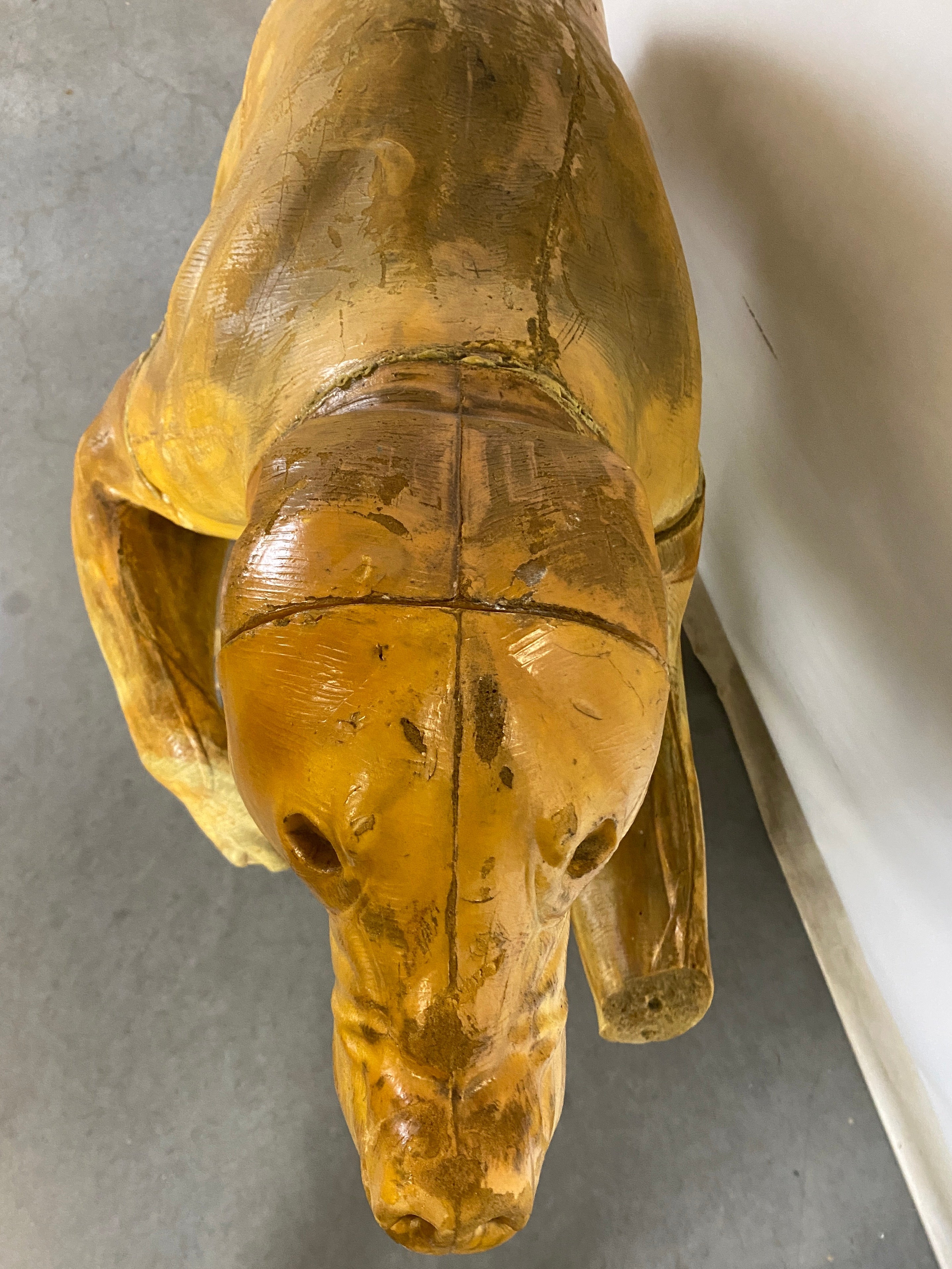 Bear Styrofoam Taxidermy Outline