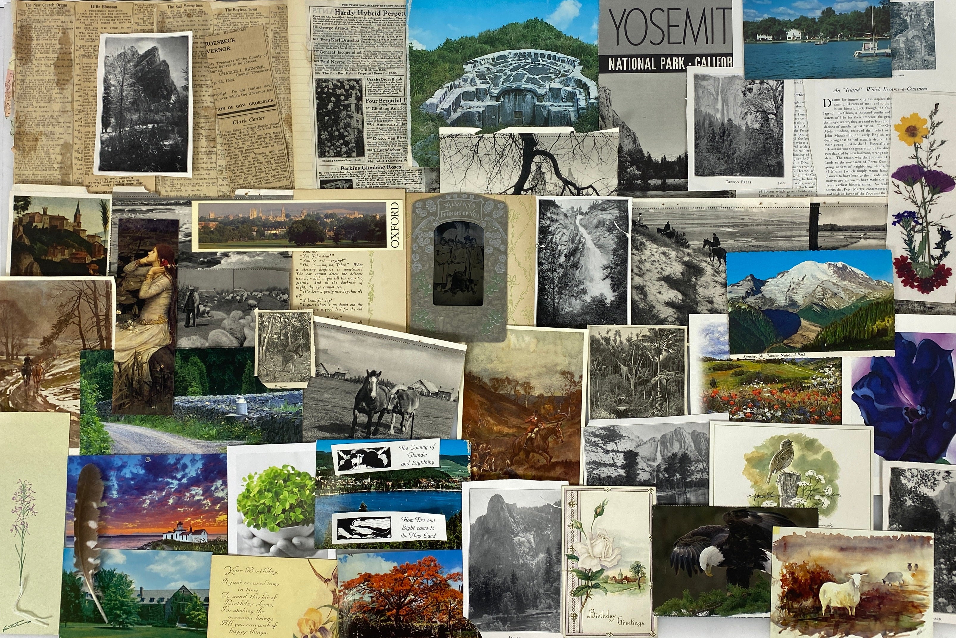 Nature Paper Ephemera Pack - 50 pcs