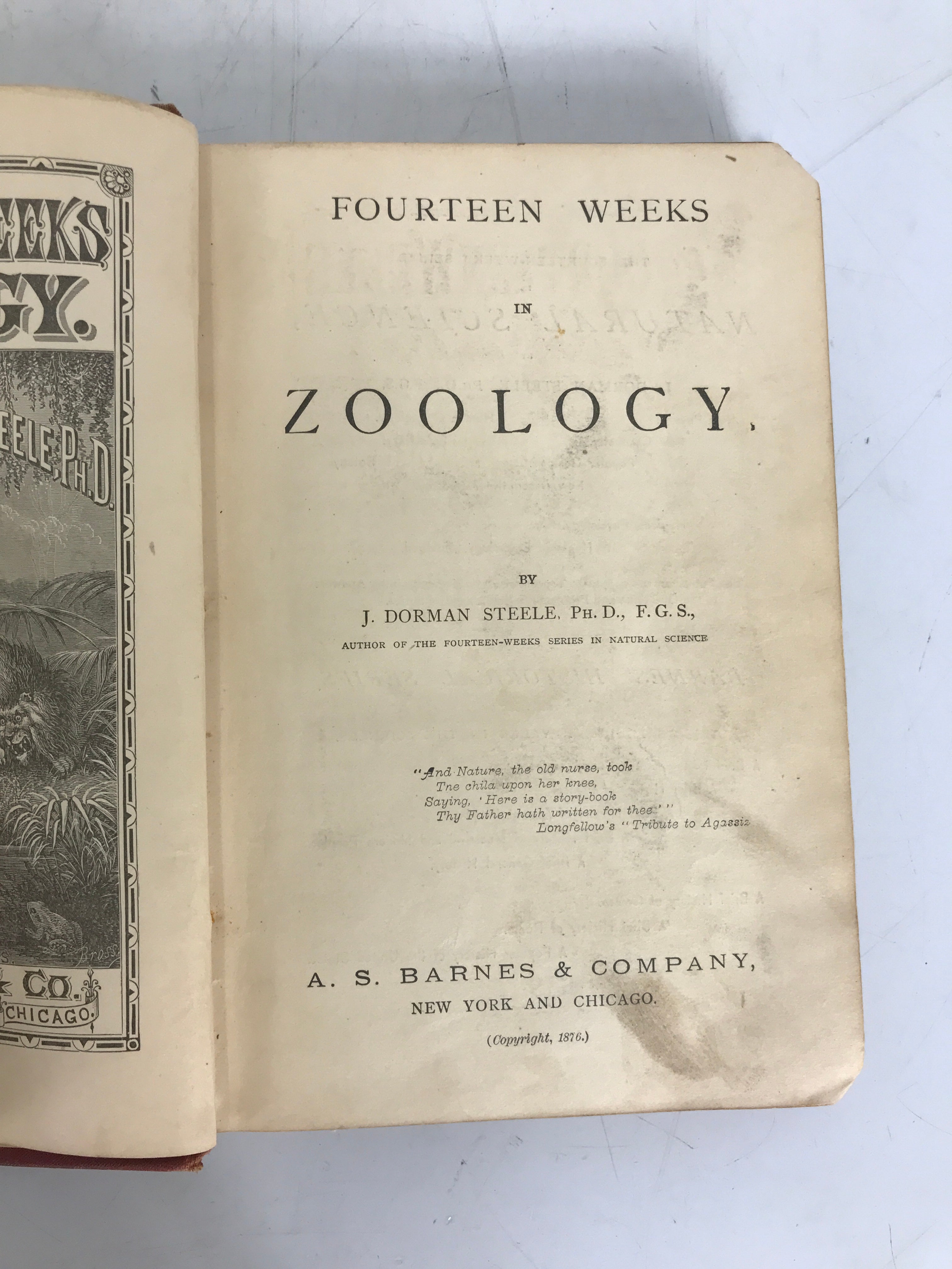 Fourteen Weeks in Zoology by Steele 1876 1st Ed Antique HC