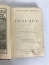 Fourteen Weeks in Zoology by Steele 1876 1st Ed Antique HC