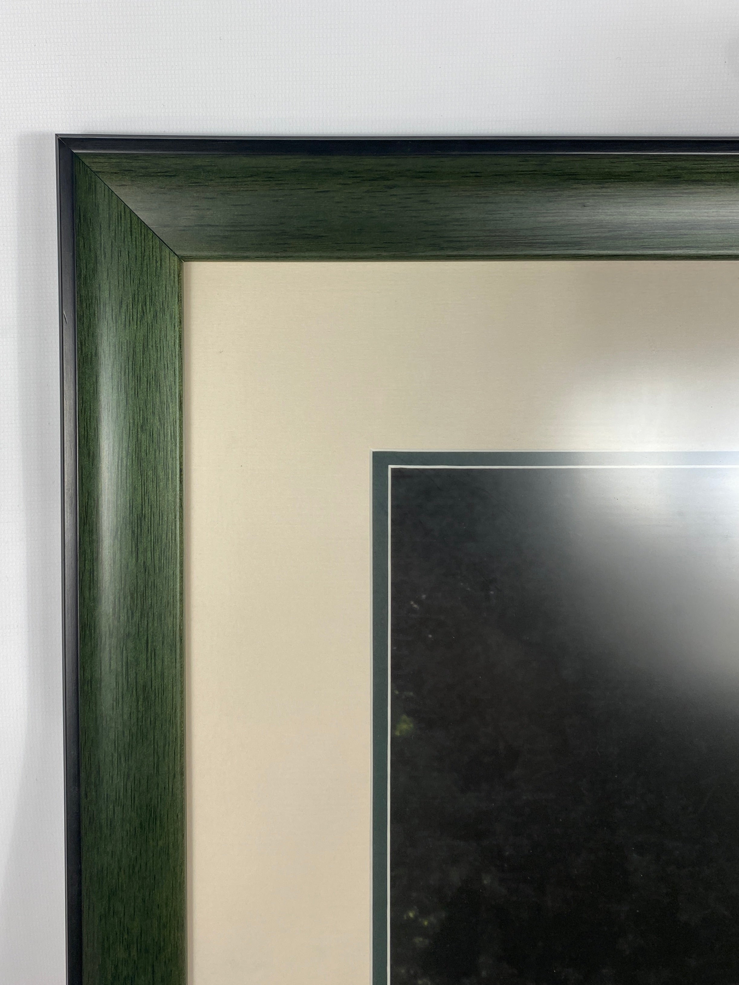 MSU Tree and Rock Picture in Wood Frame