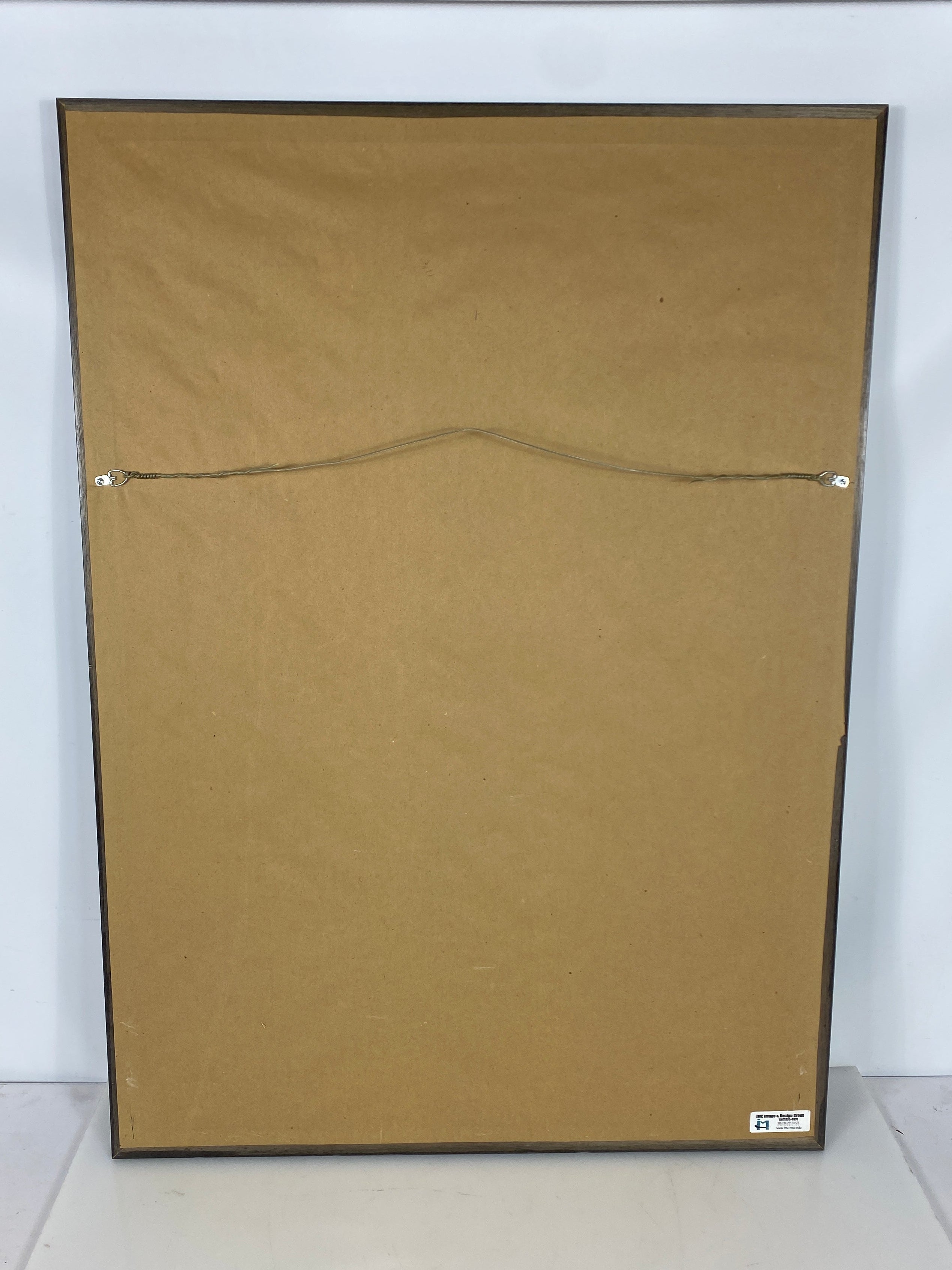 MSU Tree and Rock Picture in Wood Frame