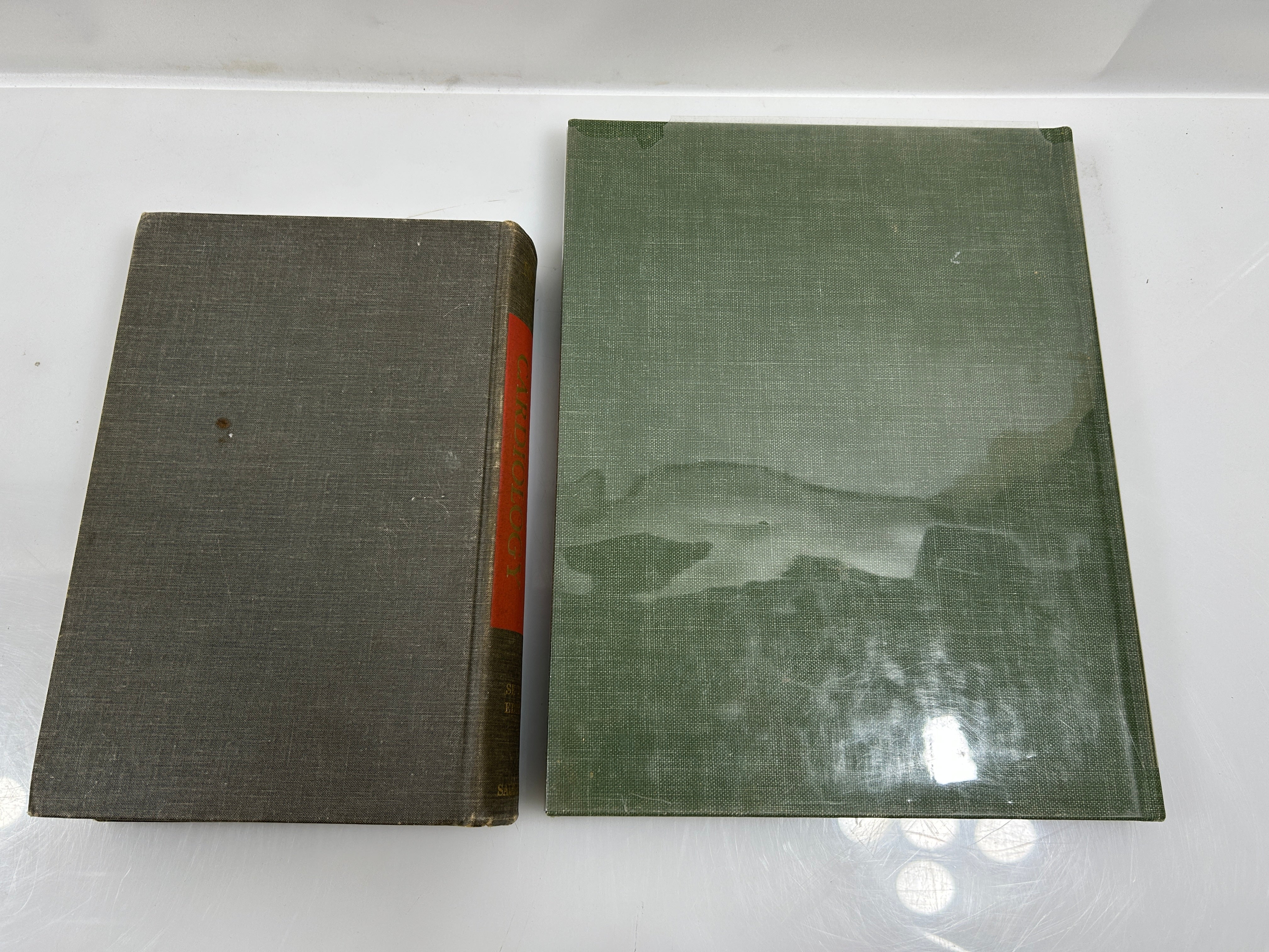 2 Vols: Pediatric Cardiology/CIBA Collection of Medical Illustrations Heart HC