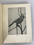The First Book of Birds 1899 and The Second Book of Birds Bird Families 1901 HC