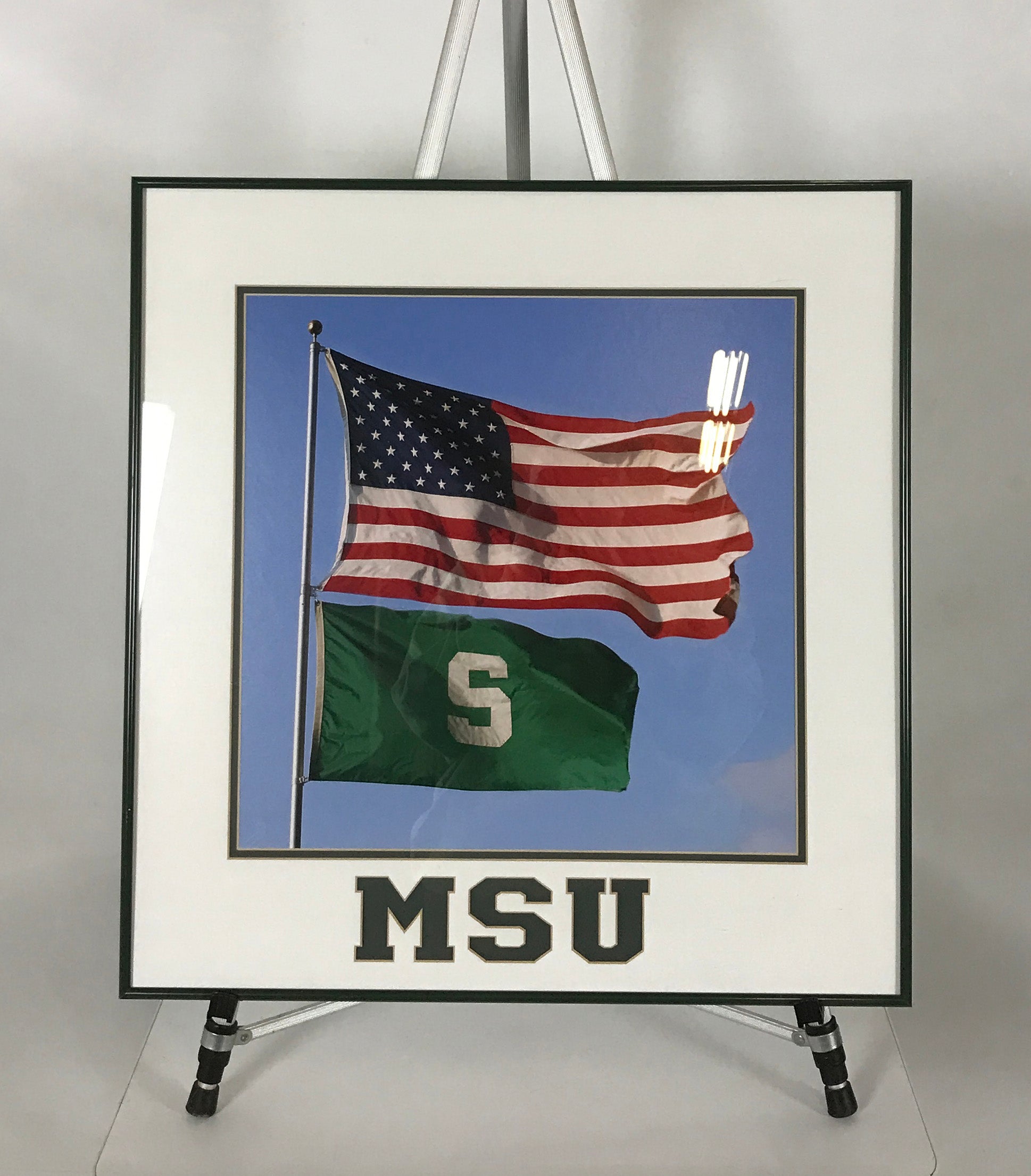 Framed Photo of MSU and U.S. Flags