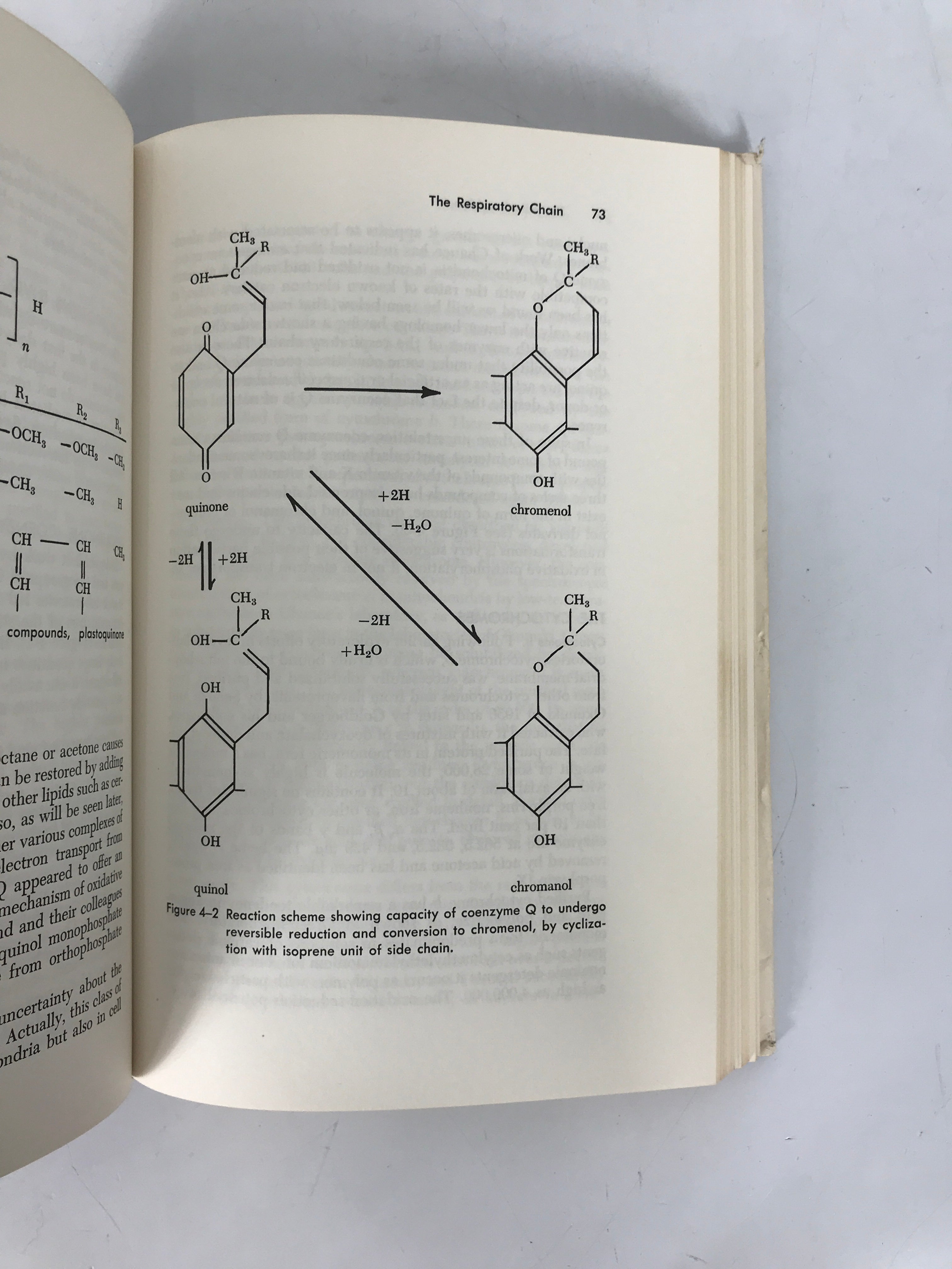 The Mitochondrion by Albert Lehninger 1964 HC DJ