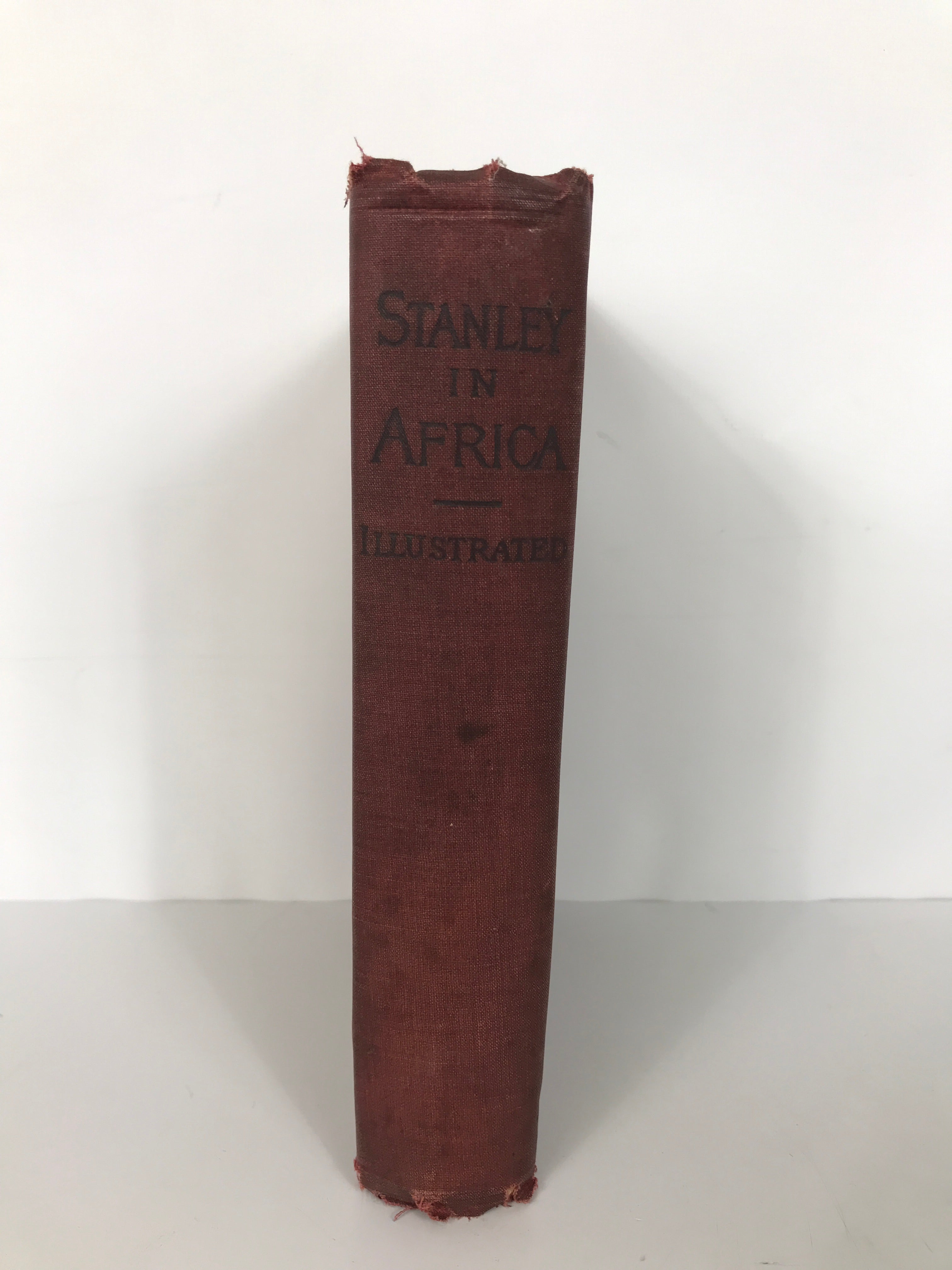 Stanley in Africa The Paladin of the 19th Century by Godbey 1890 Antique HC