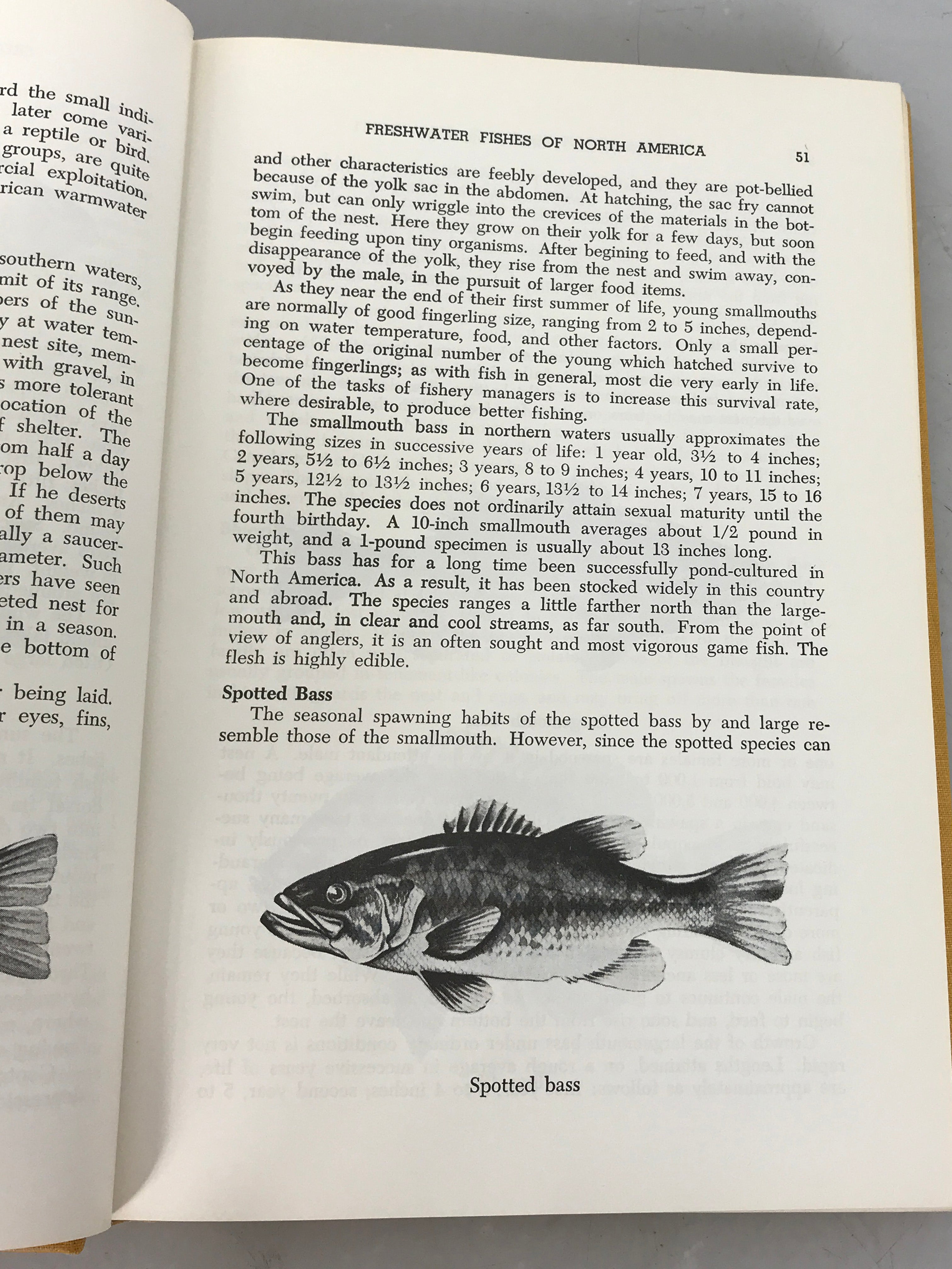 Lot of 2 Fishery Books 1971-1975 HC