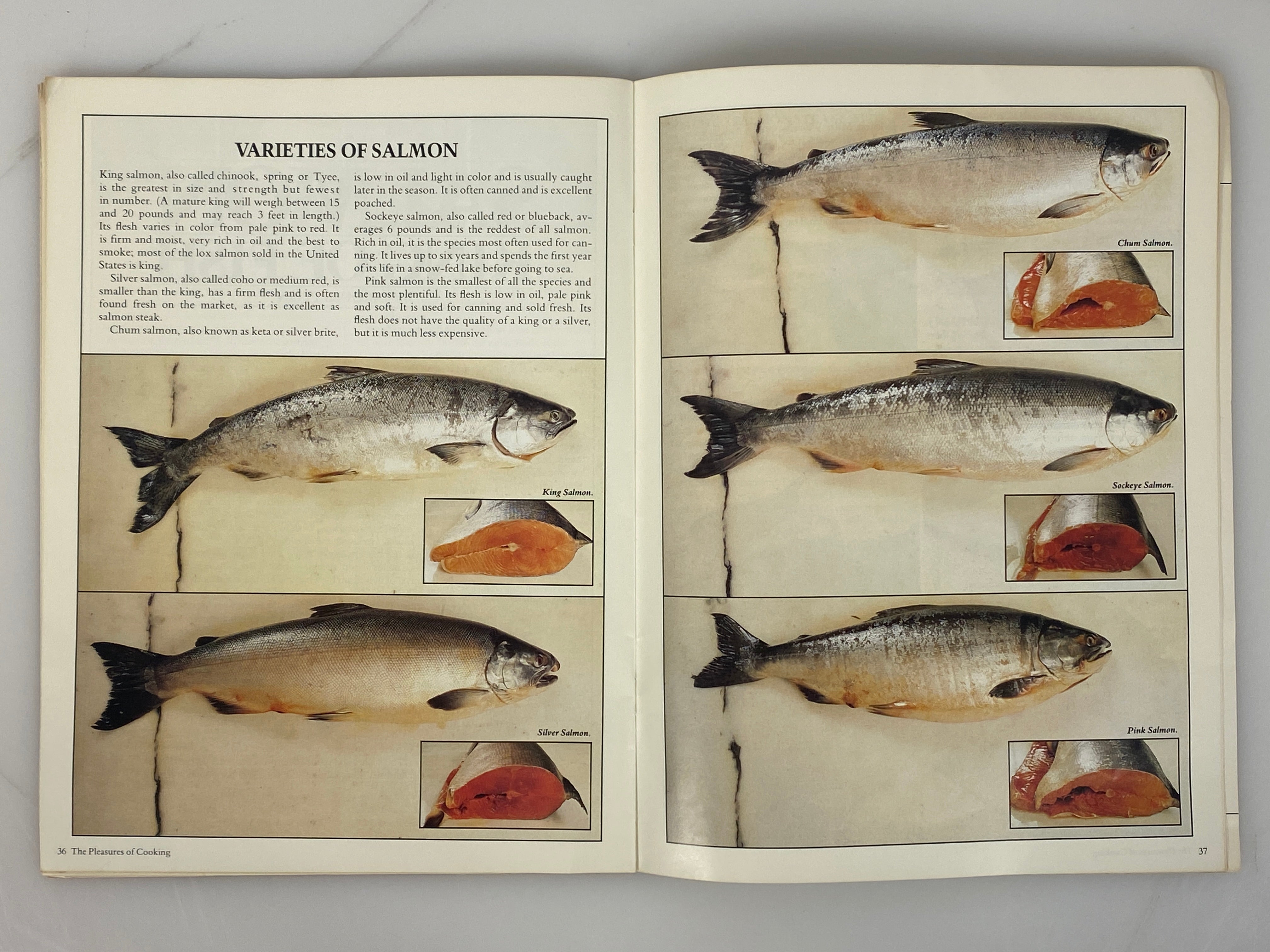 6 Recipe Books: Sealtest Kitchens/American Egg Board/Betty Crocker/Gold Medal