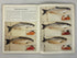 6 Recipe Books: Sealtest Kitchens/American Egg Board/Betty Crocker/Gold Medal