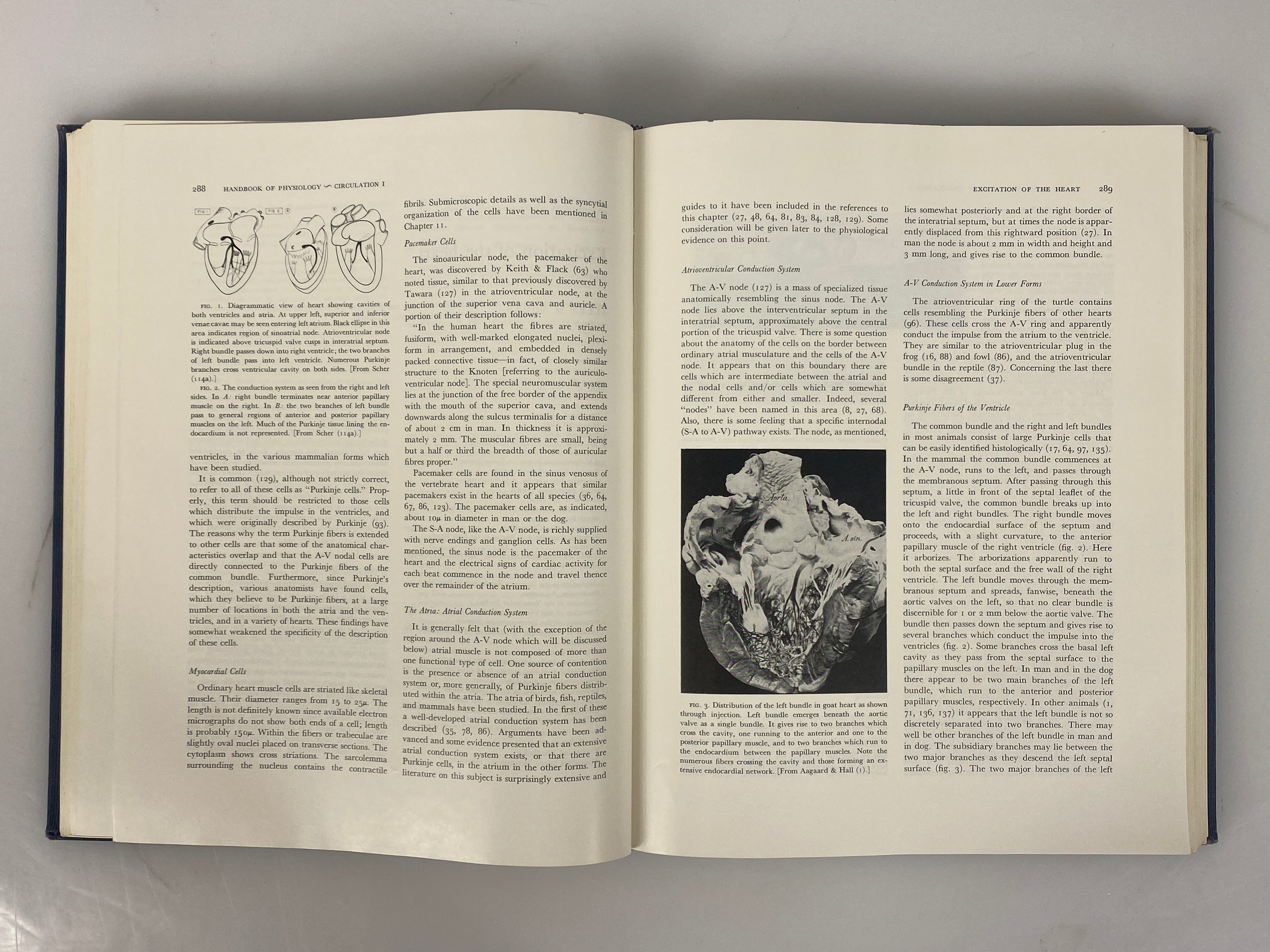 3 Volume Set: Handbook of Physiology Circulation I/II/III 1962-65 HC some DJ