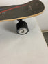 Wind Seeker Electric Cruiser Skateboard